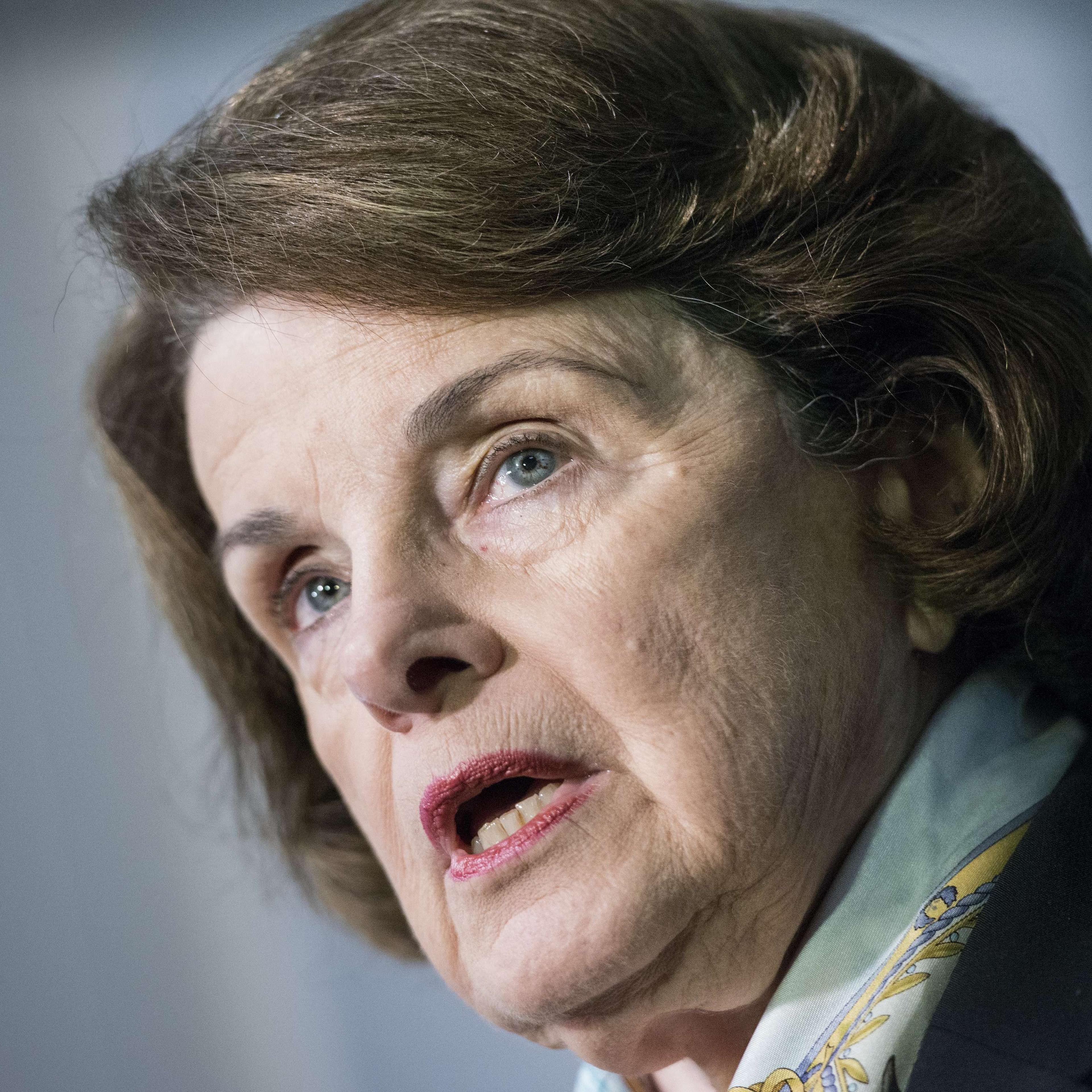 Senator Dianne Feinstein speaks to the media after a closed meeting of the Senate Intelligence Committee on Capitol Hill April 3, 2014 in Washington, DC.
