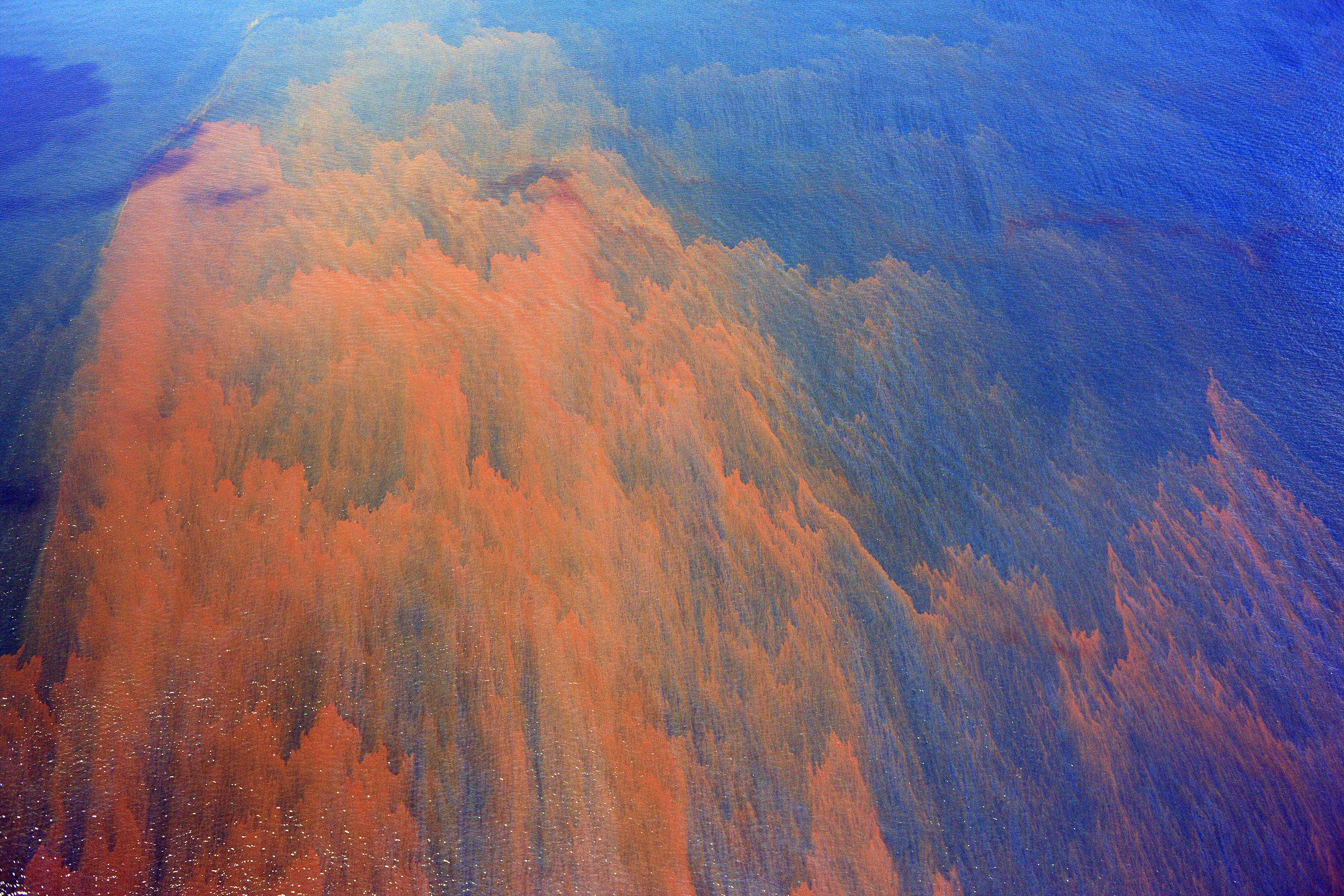 Oil from BP Deepwater Horizon spill at the Gulf Macondo well floats on the Gulf of Mexico