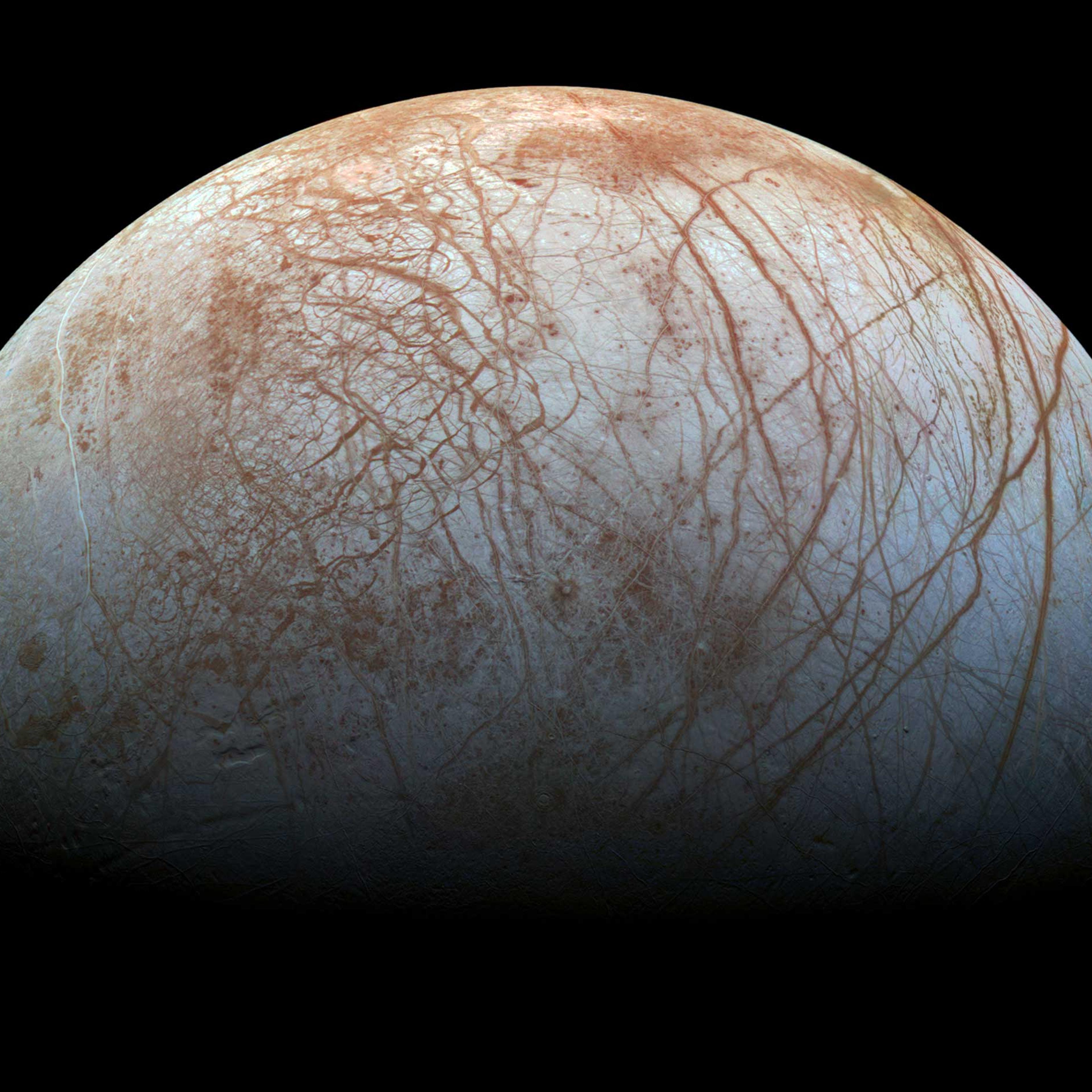 A new mosaic made from images taken by NASA's Galileo spacecraft in the late 1990's is shown of the surface of Jupiter's icy moon, Europa, as it looms large in this newly-reprocessed, higher resolution color view in this handout provided by NASA in Nov.