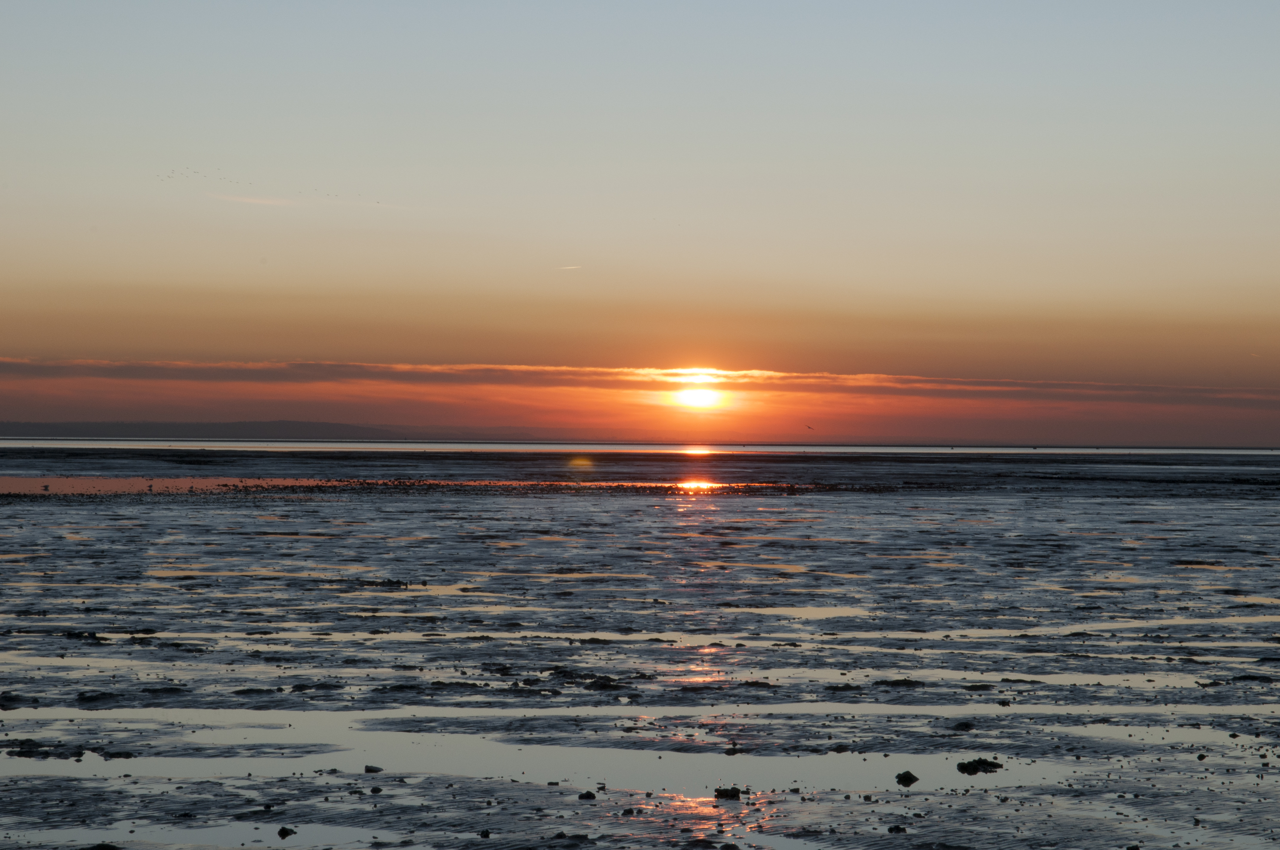 Humanity's first mailing address: Our last common ancestor dwelt in the deep