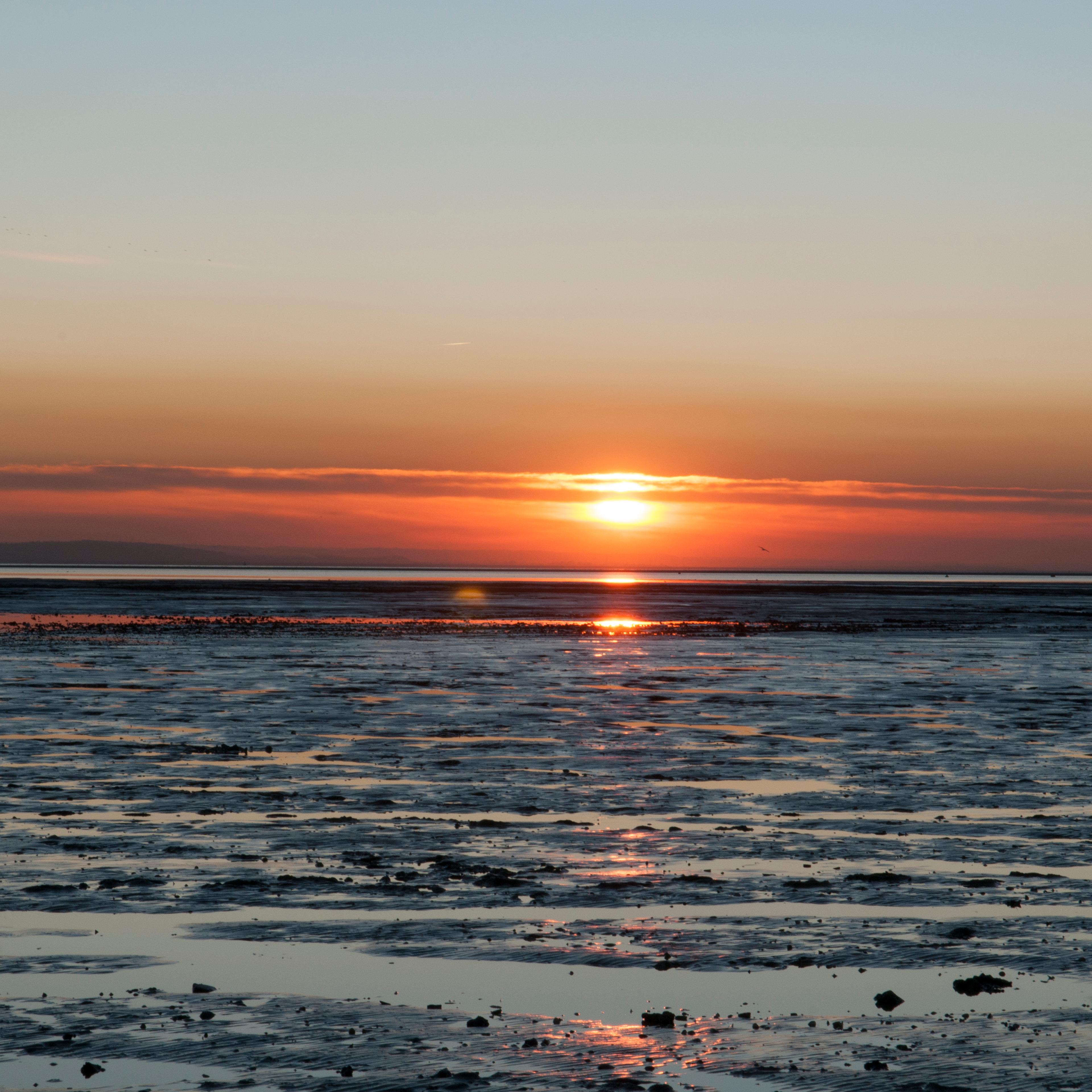 Humanity's first mailing address: Our last common ancestor dwelt in the deep