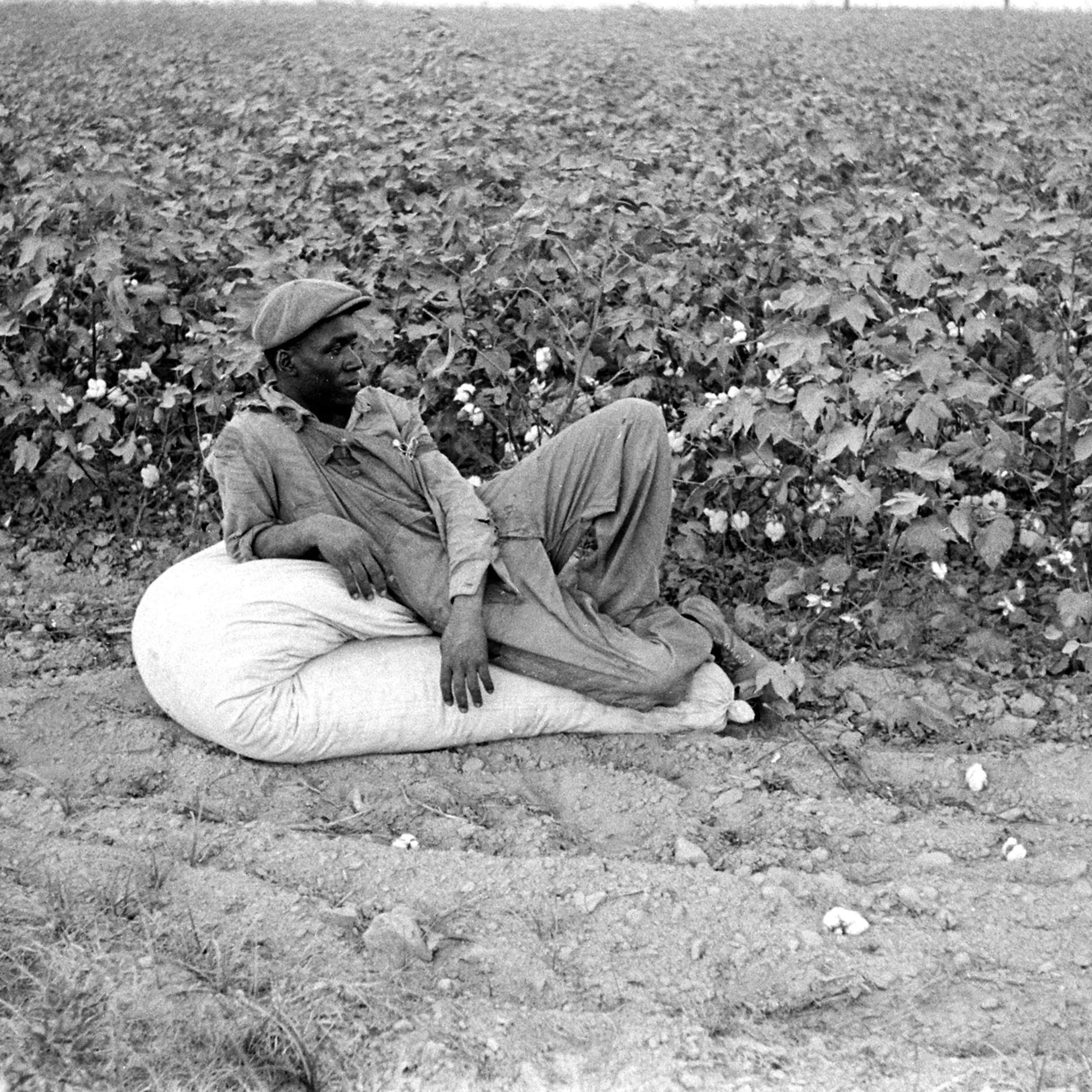 Mississippi sharecropper, 1936.