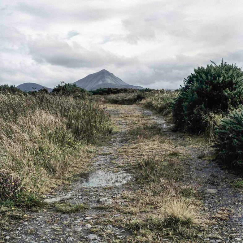 In Plain Sight | The Boreen
