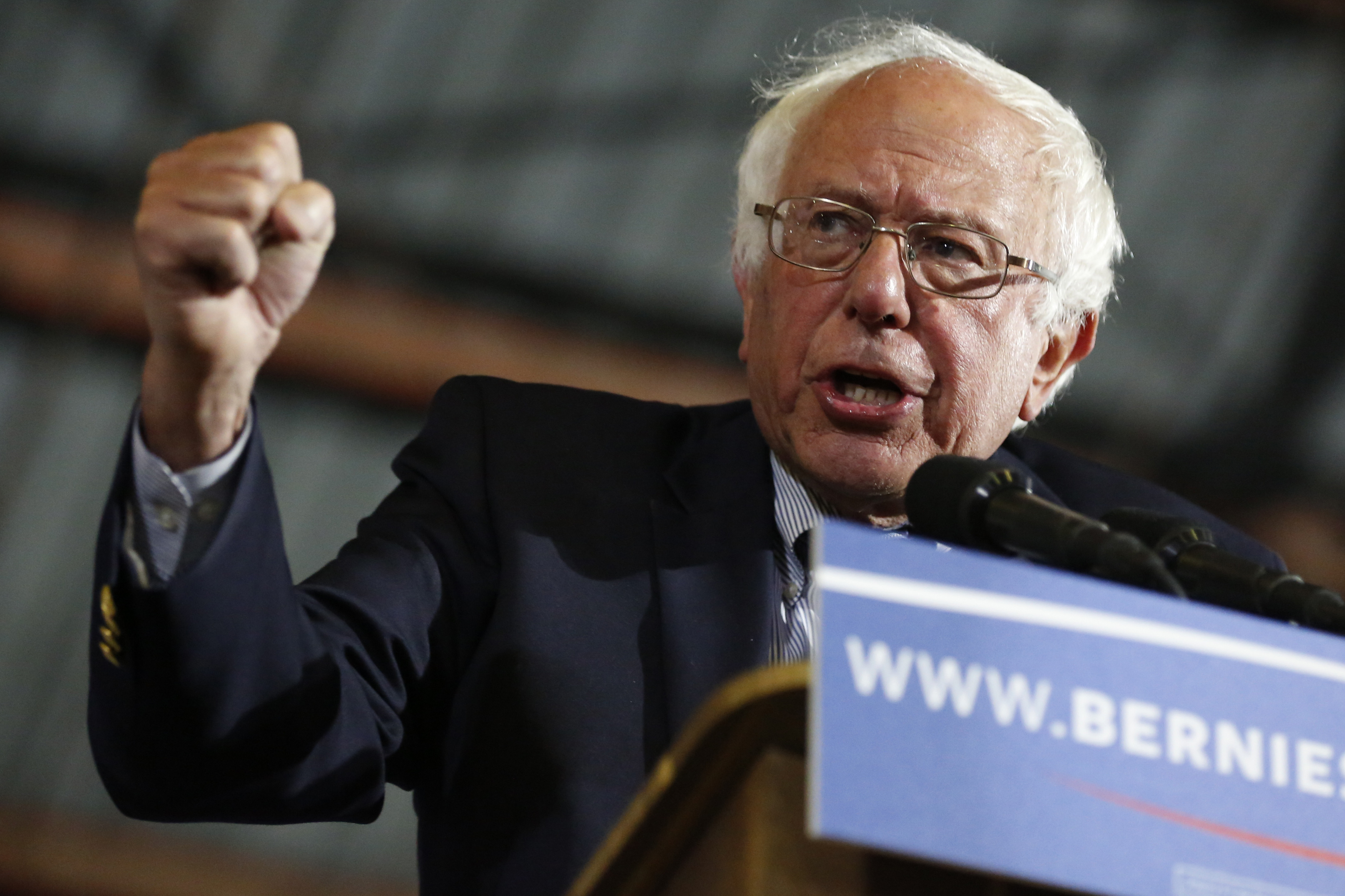 Sanders-US-Vote-Democrats