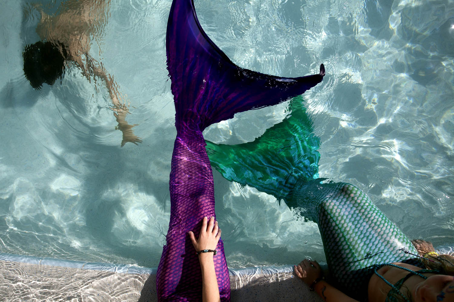 MerPalooza Mermaid Festival 2013