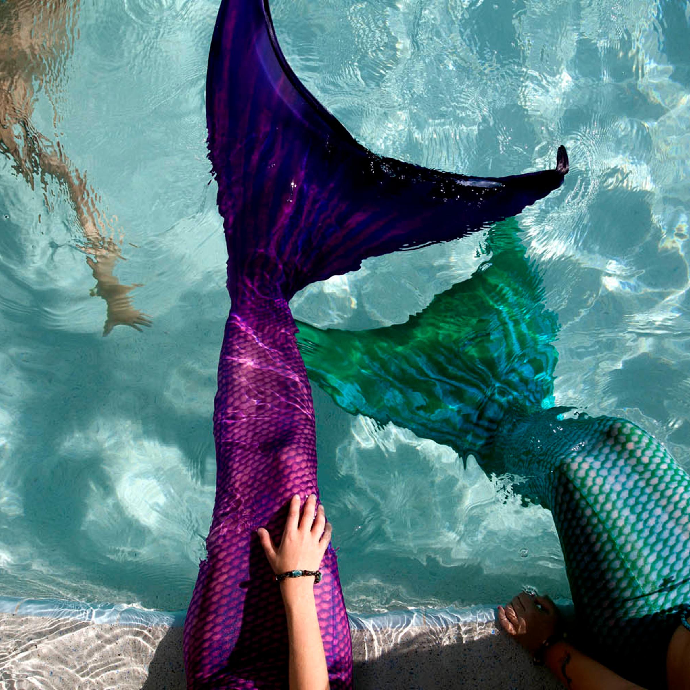 MerPalooza Mermaid Festival 2013