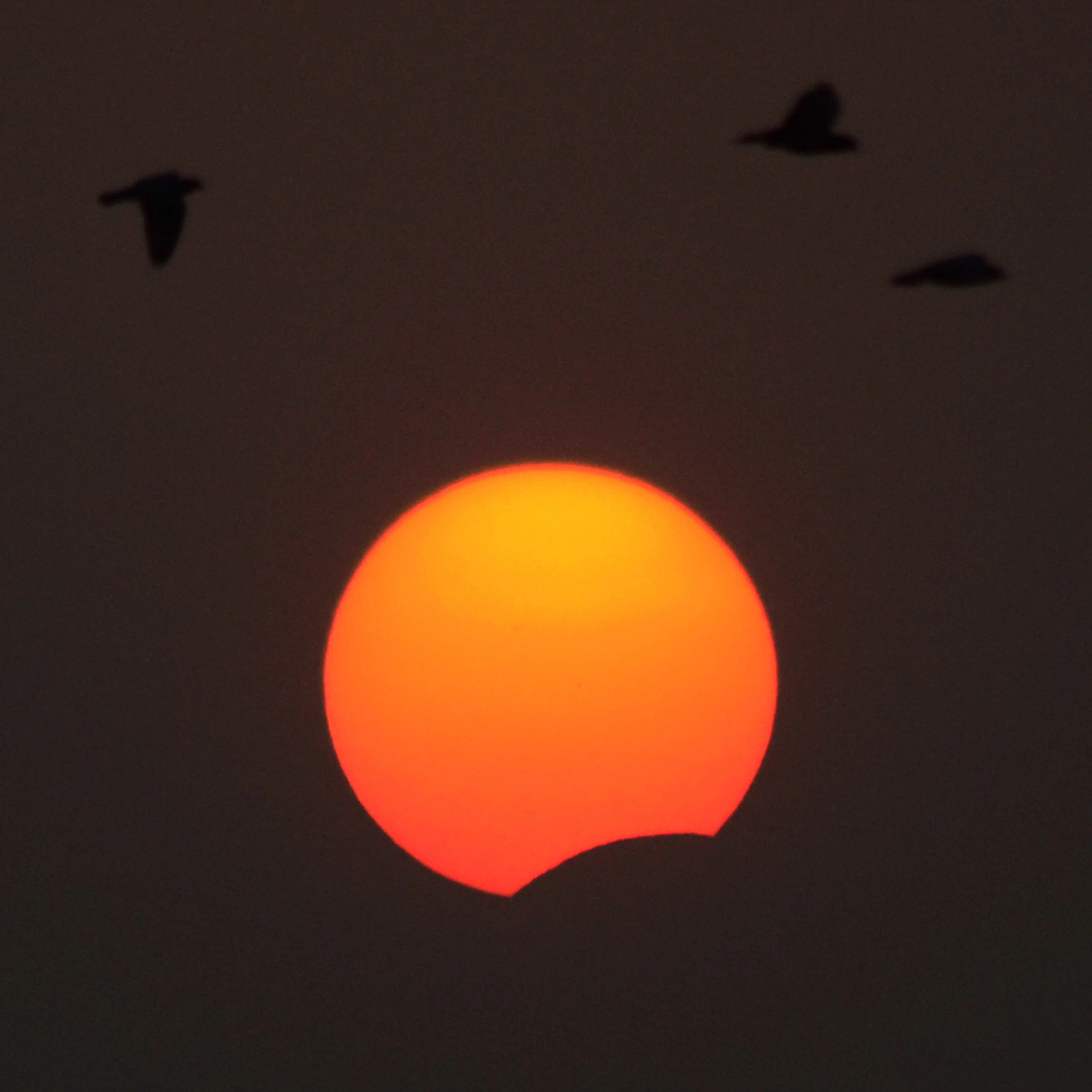 Solar Eclipse in Allahabad