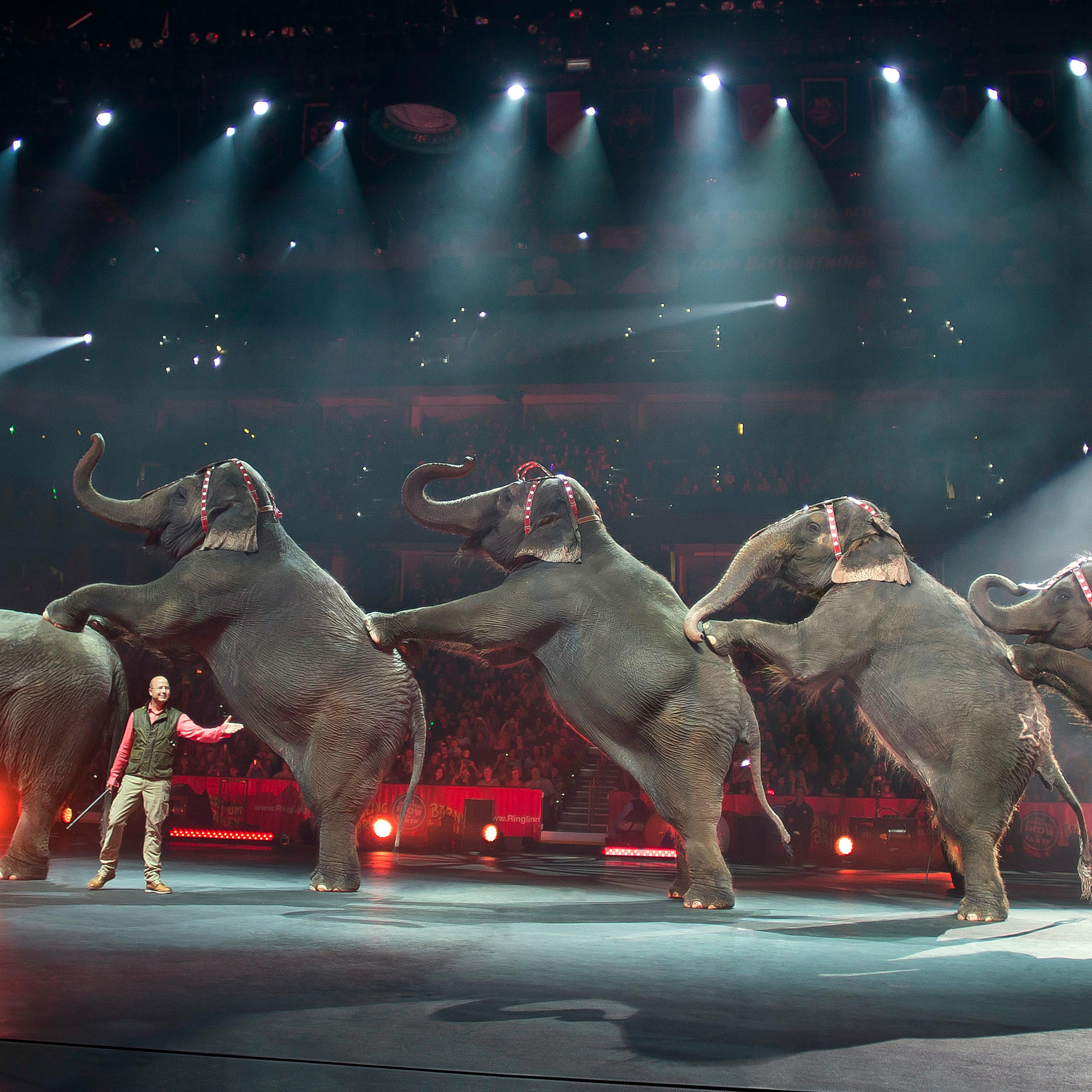Ringling Bros. and Barnum & Bailey Circus