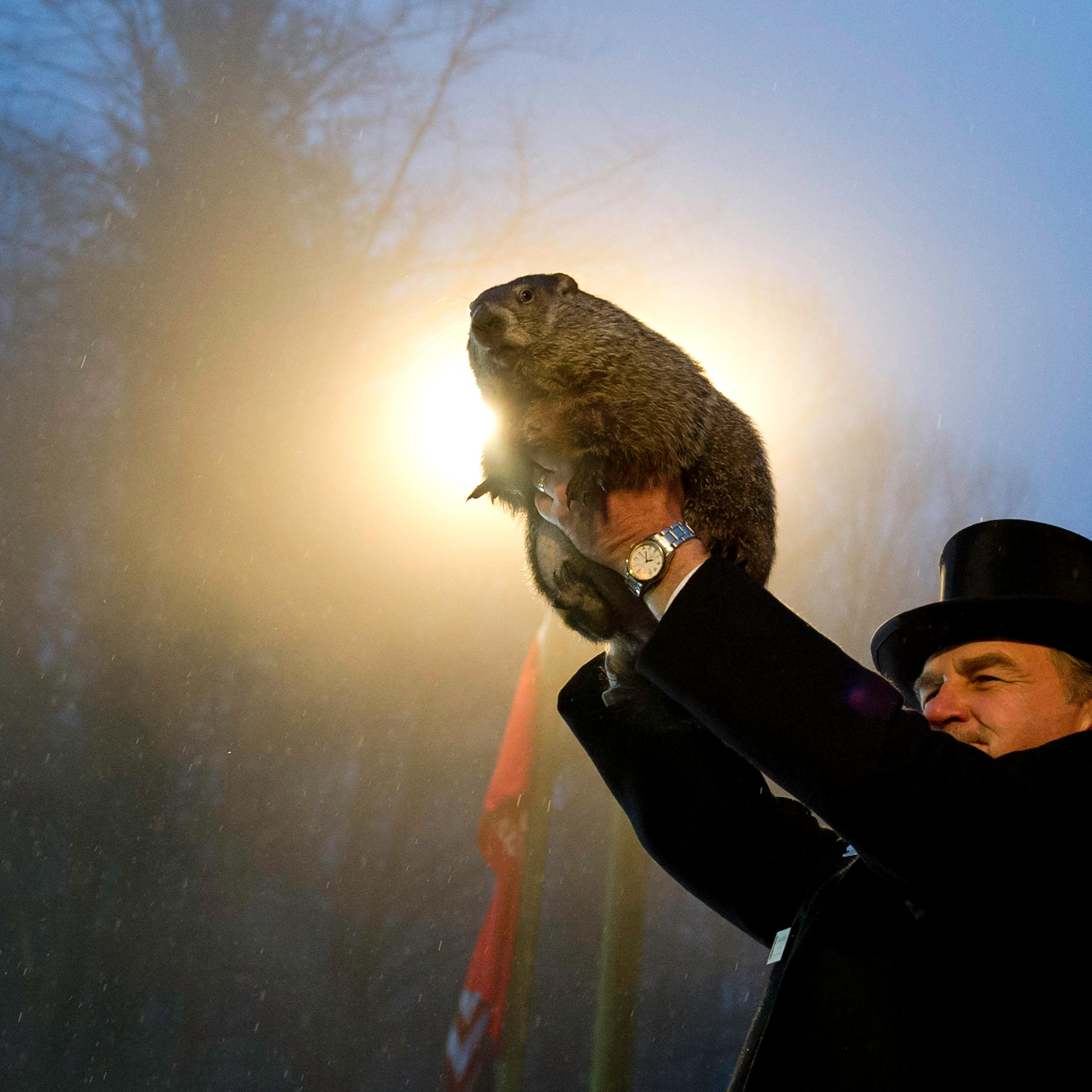 Punxsutawney Phil Makes Annual Forecast On Groundhog Day