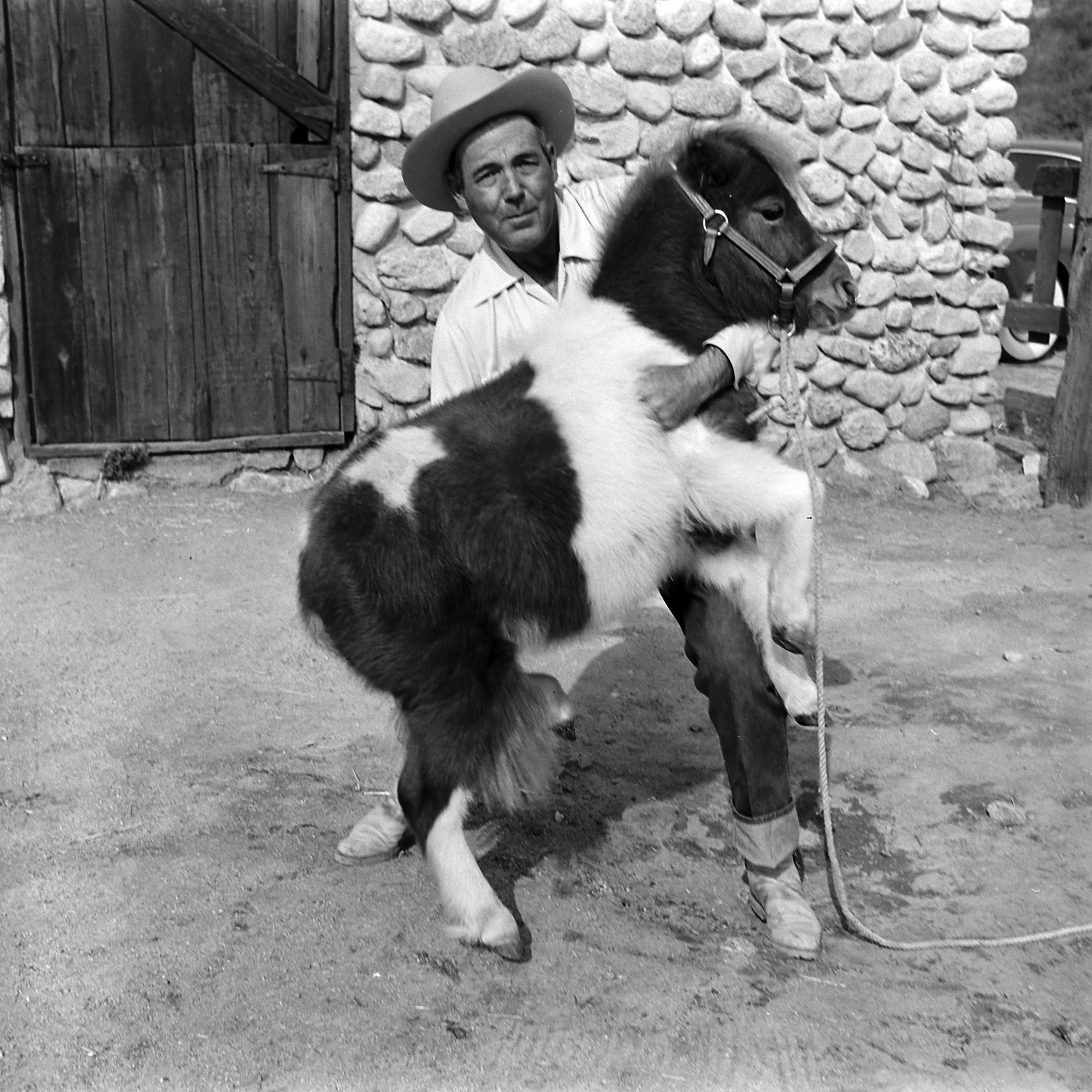 Cedric being held by a trainer.