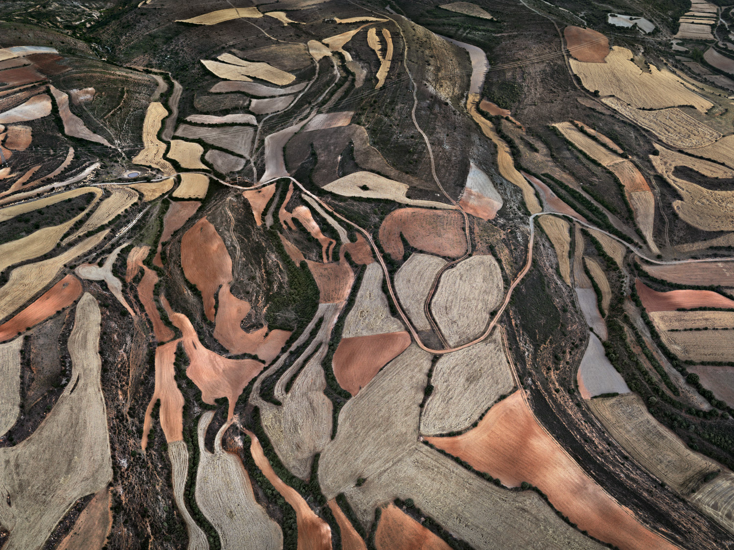 <i>Dryland Farming #24,
Monegros County, Aragon, Spain, </i>2010