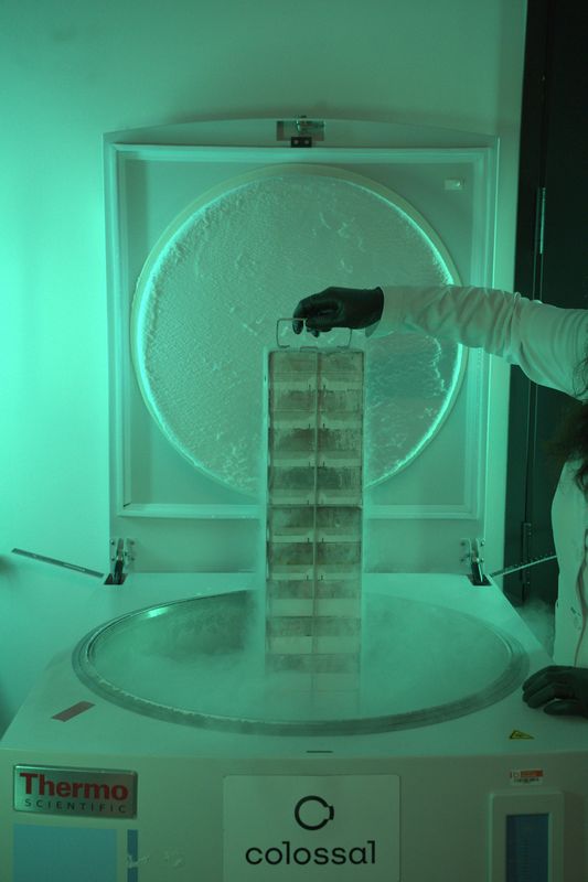 The Plan To Collect and Save the DNA of Everything on the Endangered Species List  time.com
