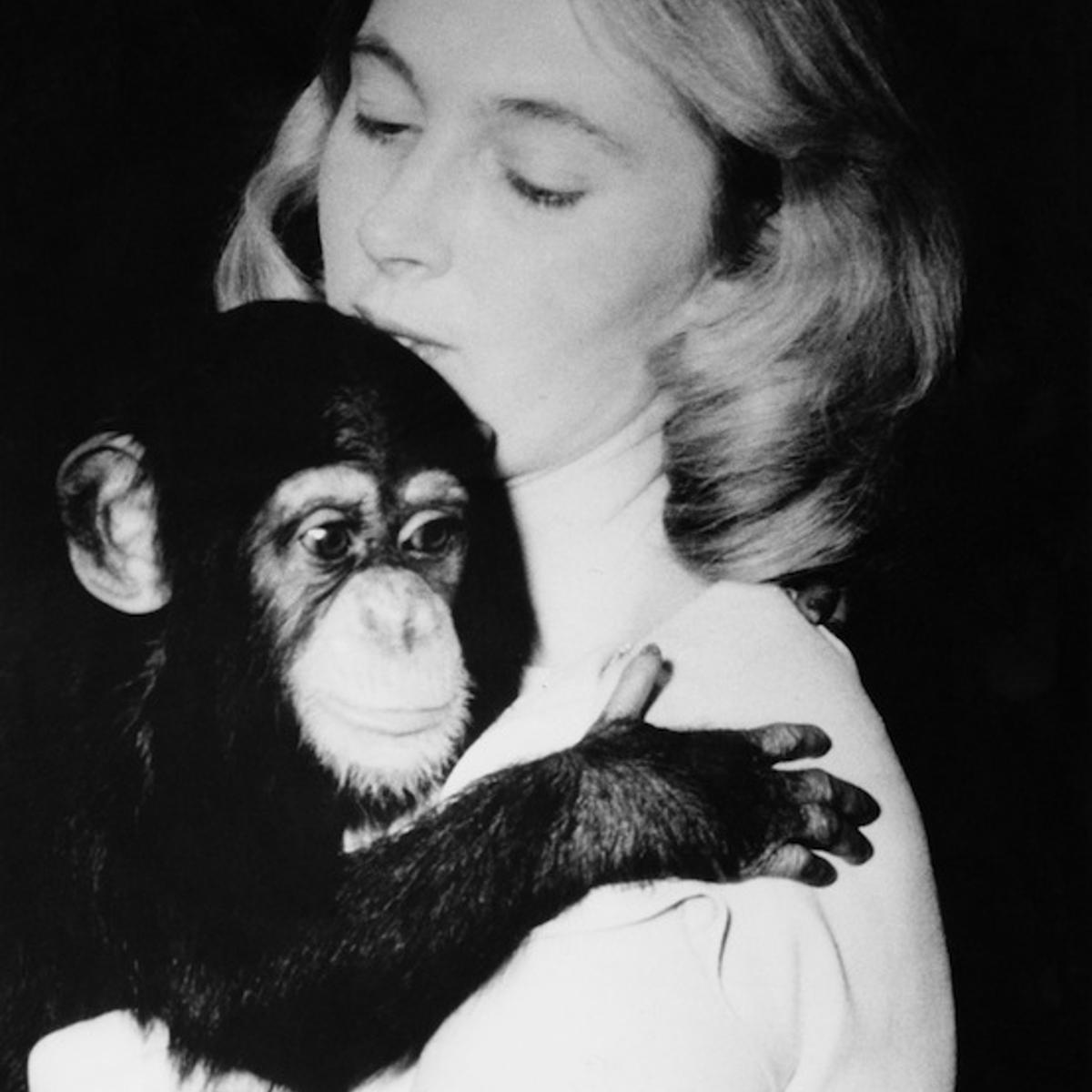Jane Goodall And Lulu