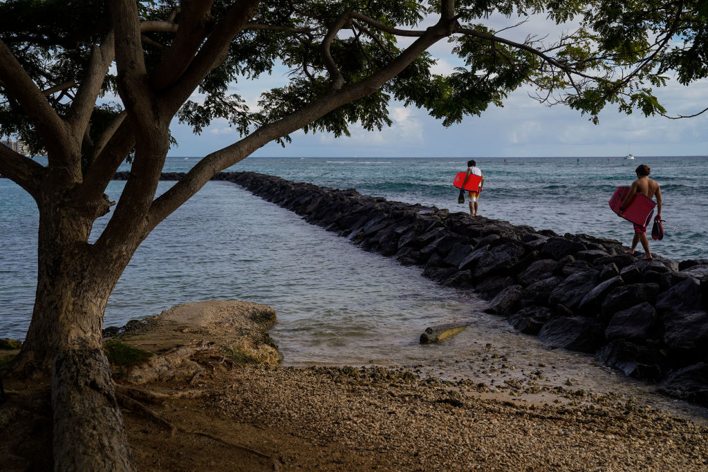 Bodyboarders walk out off of Kahanamoku Beach in Waikiki on Friday, Oct. 16, 2020 in Honolulu, HI.