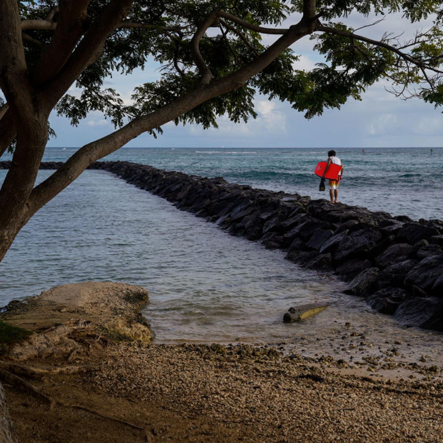 Bodyboarders walk out off of Kahanamoku Beach in Waikiki on Friday, Oct. 16, 2020 in Honolulu, HI.