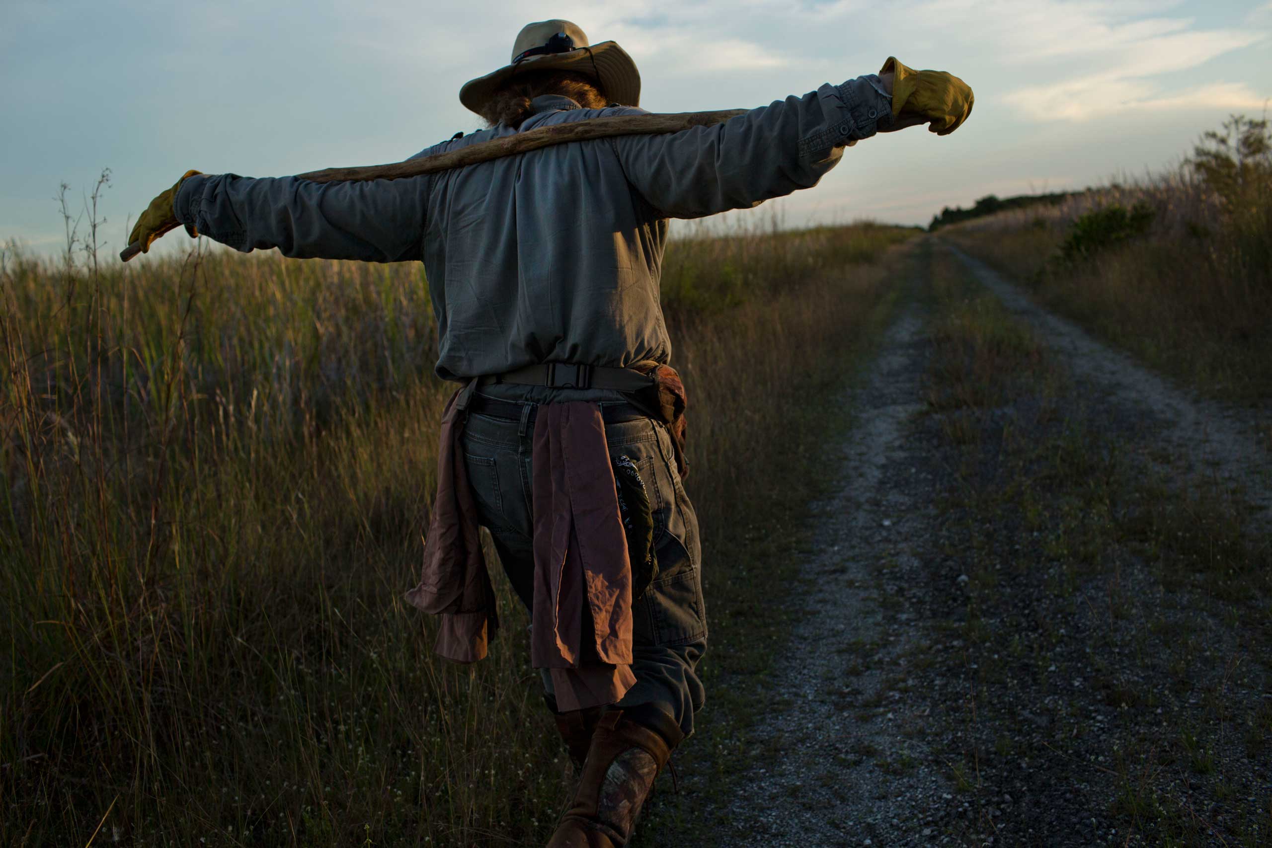 Burmese Pythons Are Taking Over the Everglades