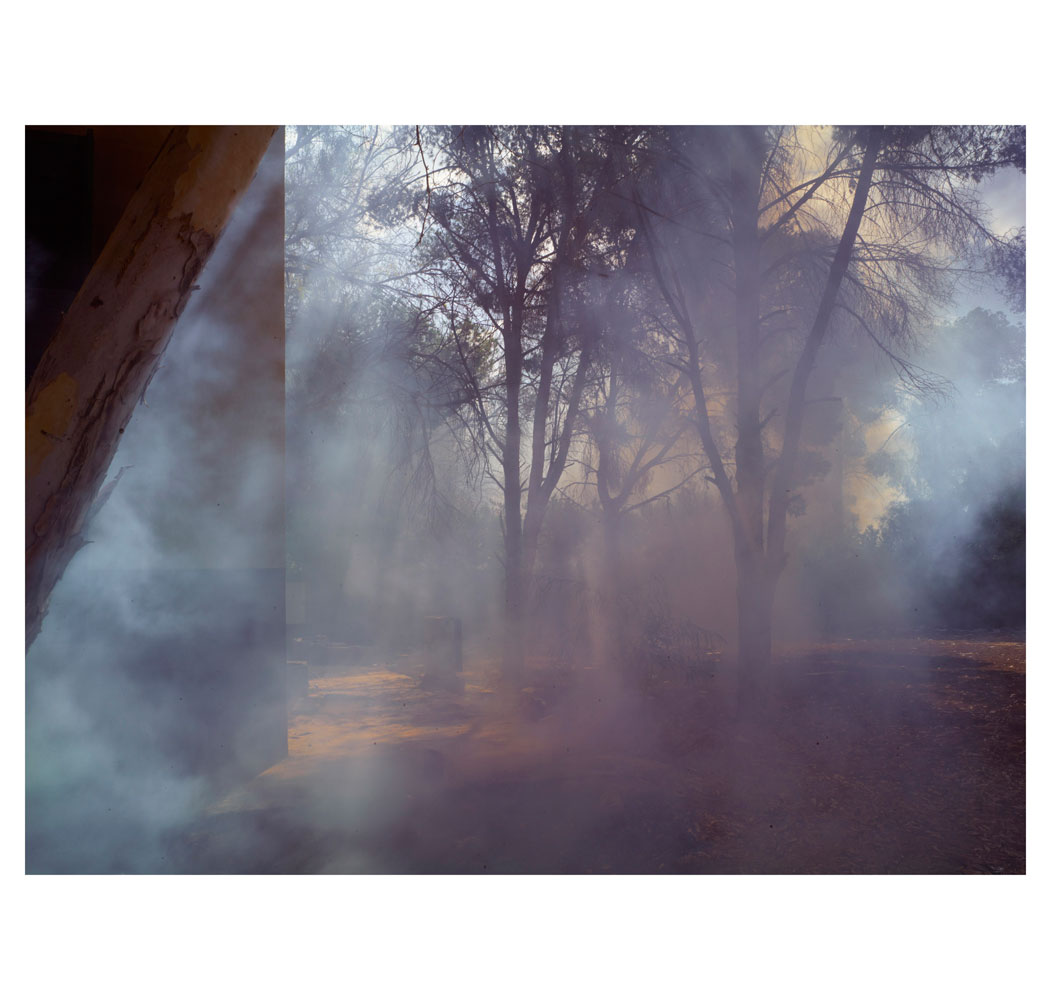 Smoke drifting through trees from a burning building of an abandoned compound.