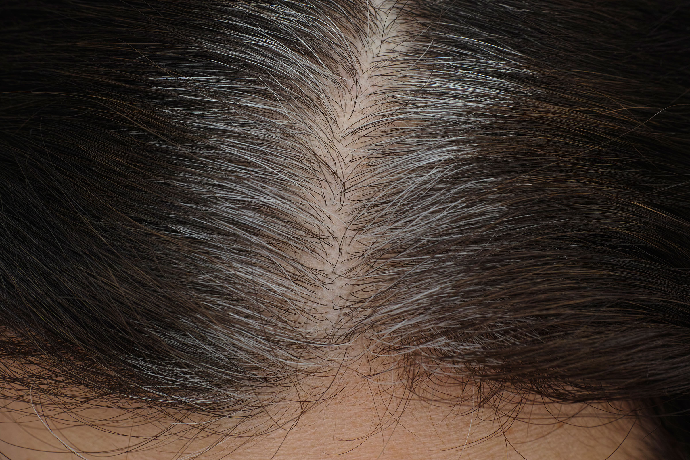 Gray roots seen on a brunette woman
