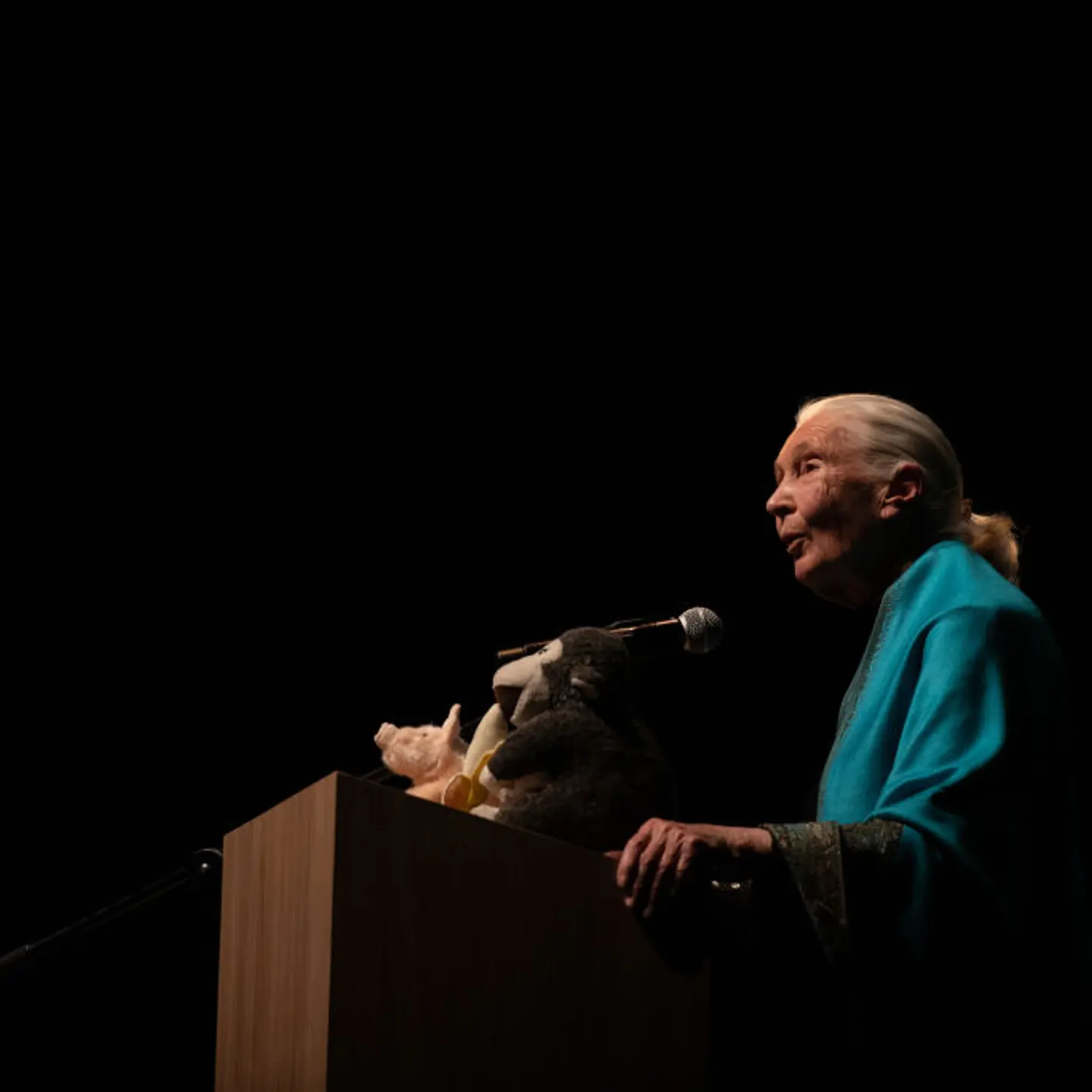 Jane Goodall Visit to Medellin, Colombia