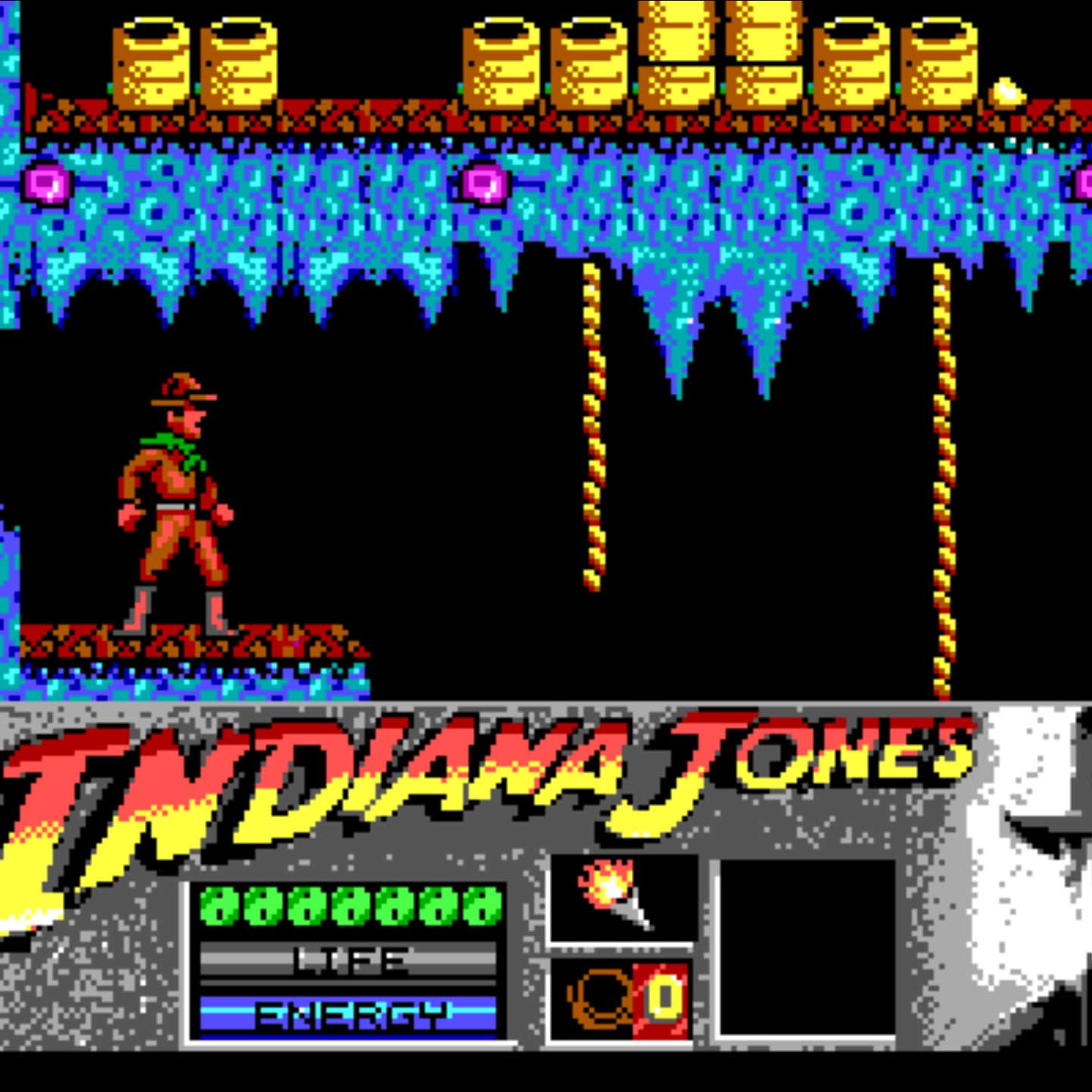 <a href="https://archive.org/details/msdos_Indiana_Jones_and_the_Last_Crusade_-_The_Action_Game_1989" target="_blank"><span style="font-size:medium;"><strong>Indiana Jones and the Last Crusade - The Action Game (1989)</strong></span></a>
This 1989 title was a Holy Grail for gamers, because it gave them control of Indiana Jones, one of the 80's coolest characters.