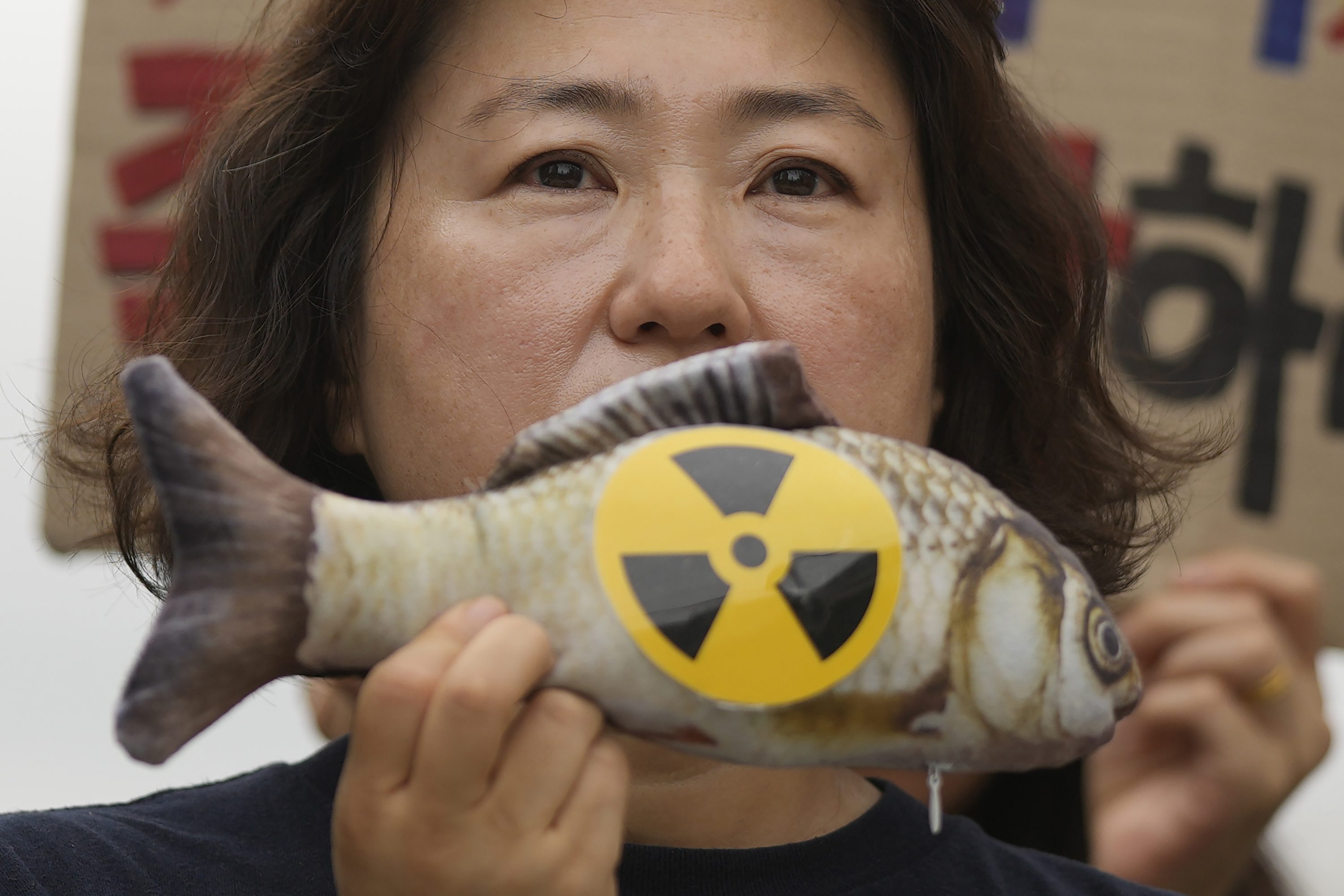 South Korea Japan Nuclear Fukushima