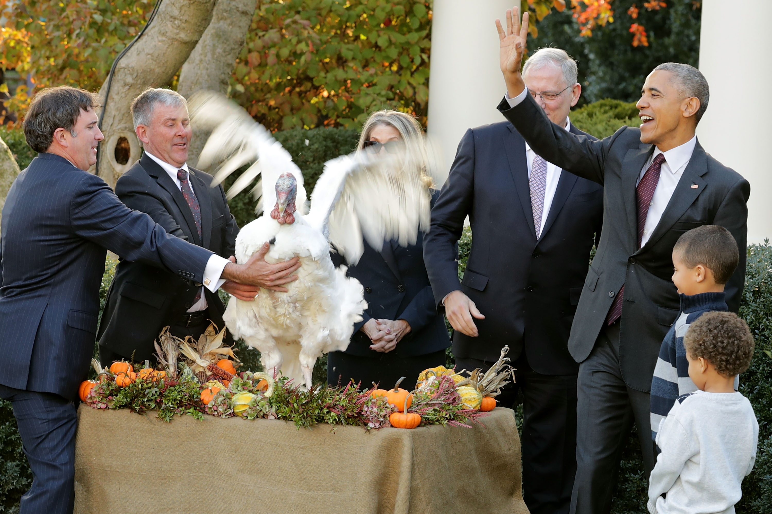 President Obama Pardons National Thanksgiving Turkey