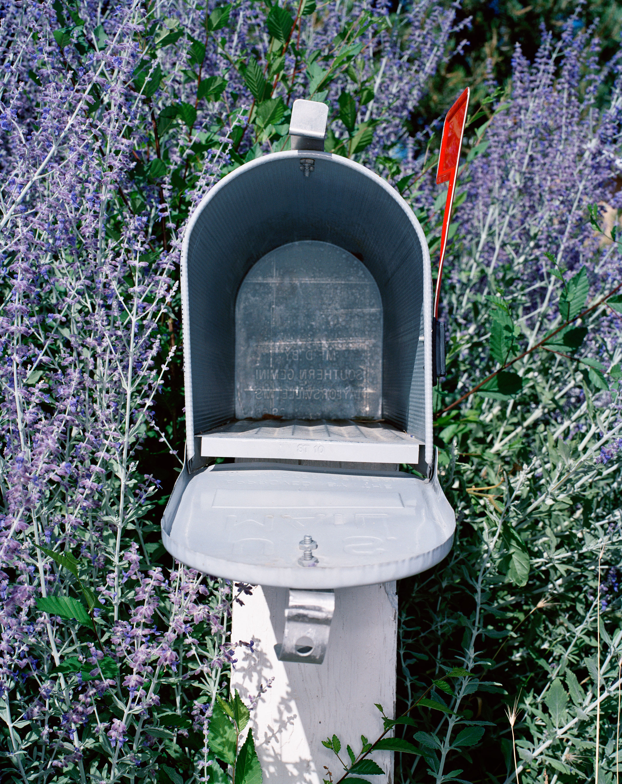 An open mailbox surrounded by flowers in the daylight