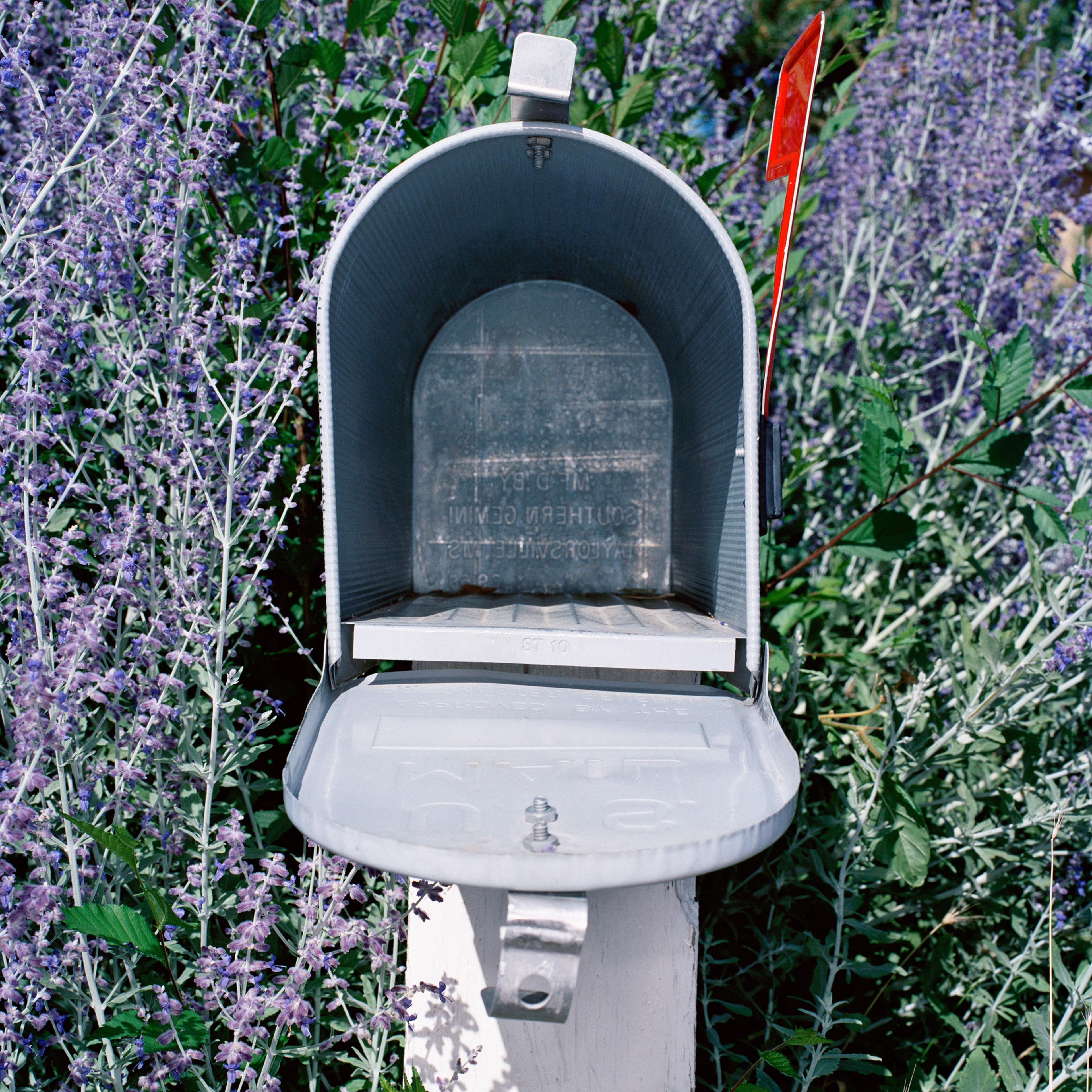 An open mailbox surrounded by flowers in the daylight