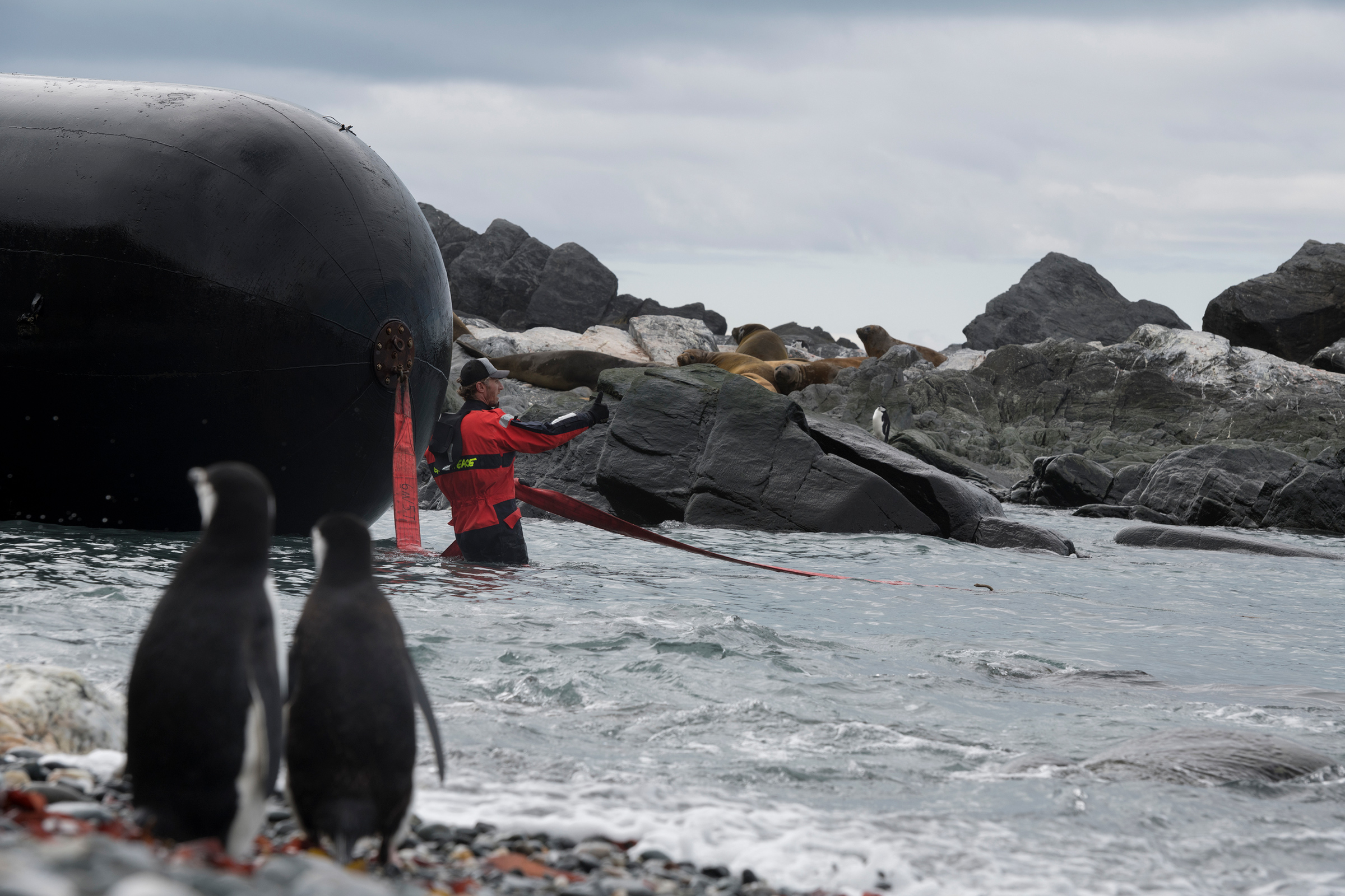 A Greenpeace crew removes a large plastic boat fender left on a beach in Antarctica