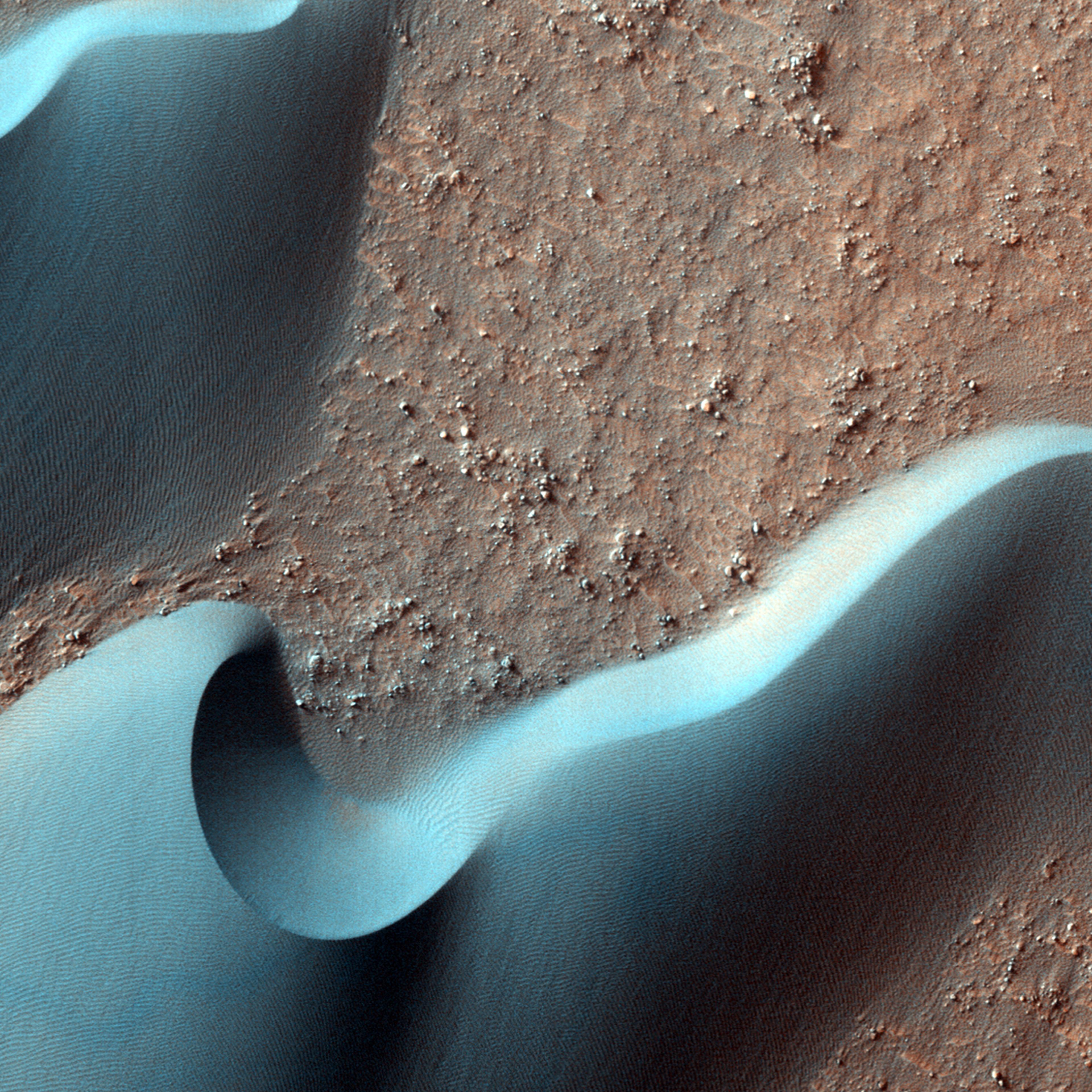Most of the dunes visible in this observation are barchan dunes. On barchan dunes, the steep slip face is between two "horns" that point downwind.