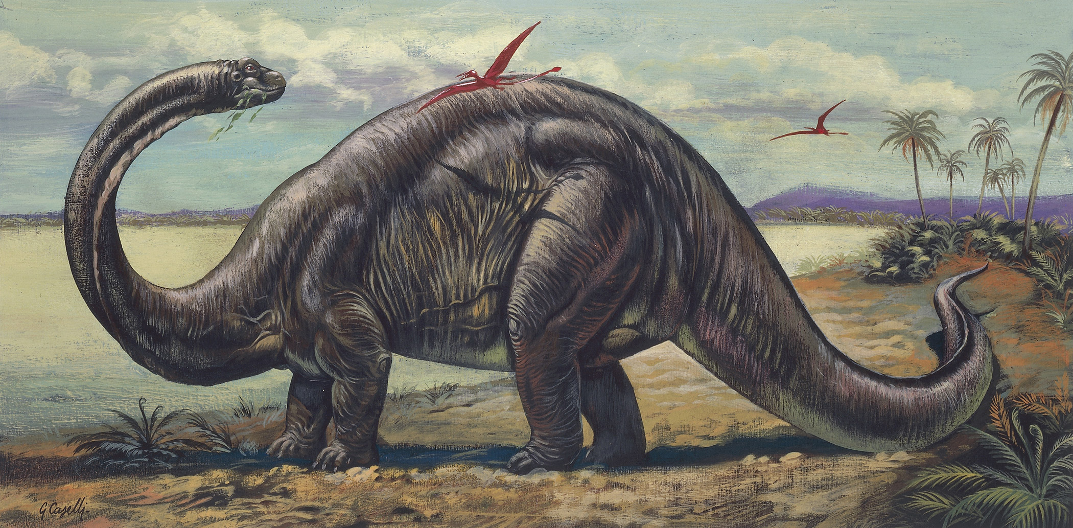 Brontosaurus