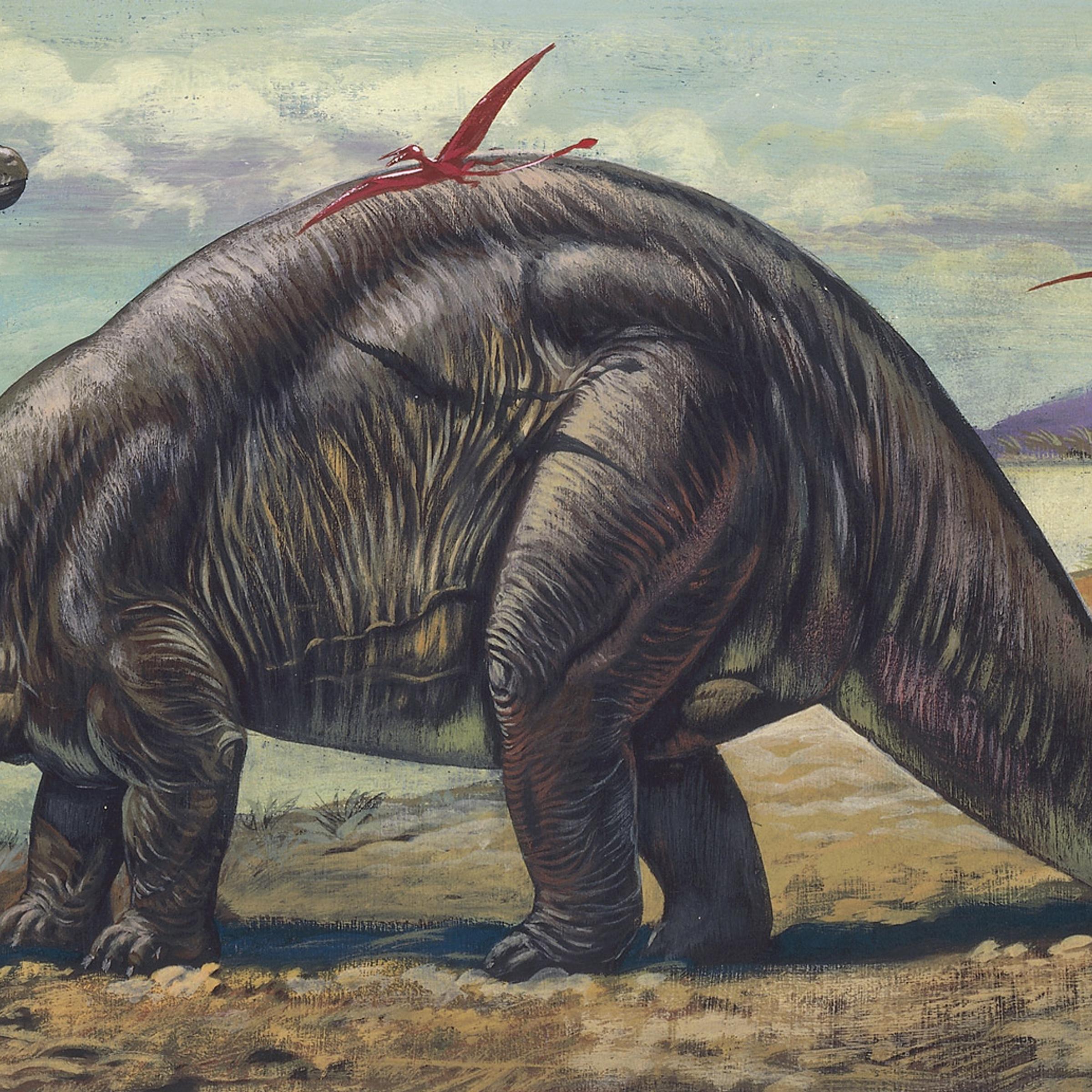 Brontosaurus