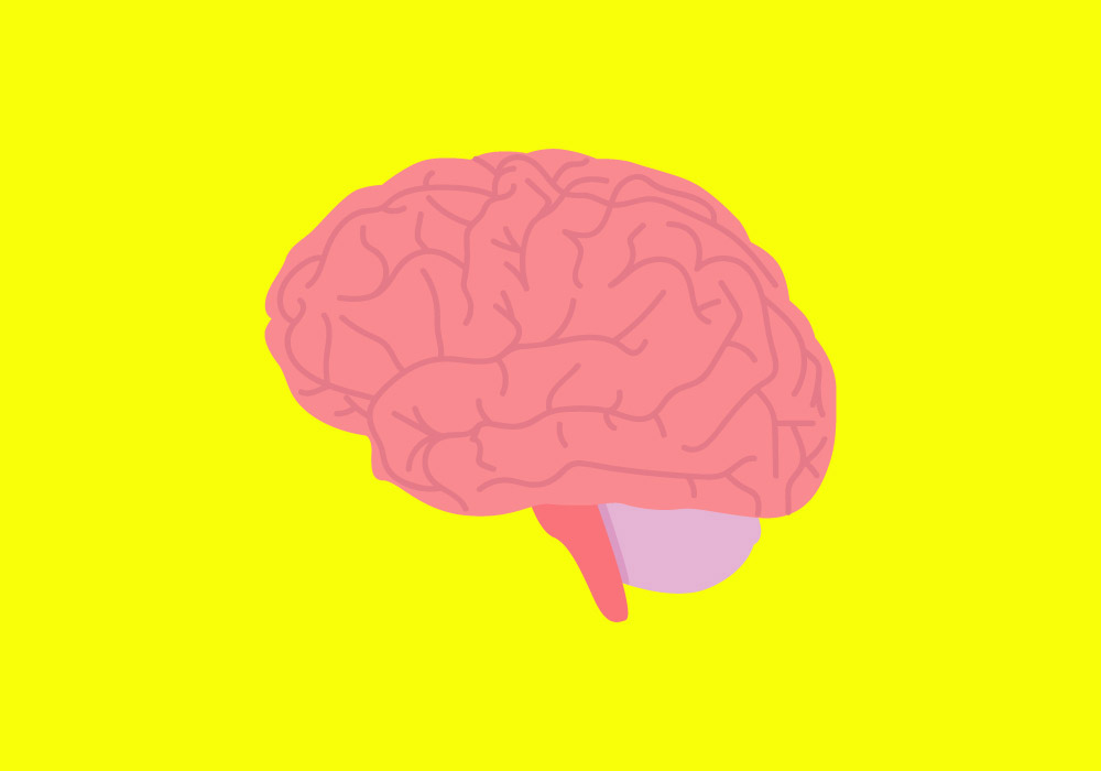 TIME.com stock health brain