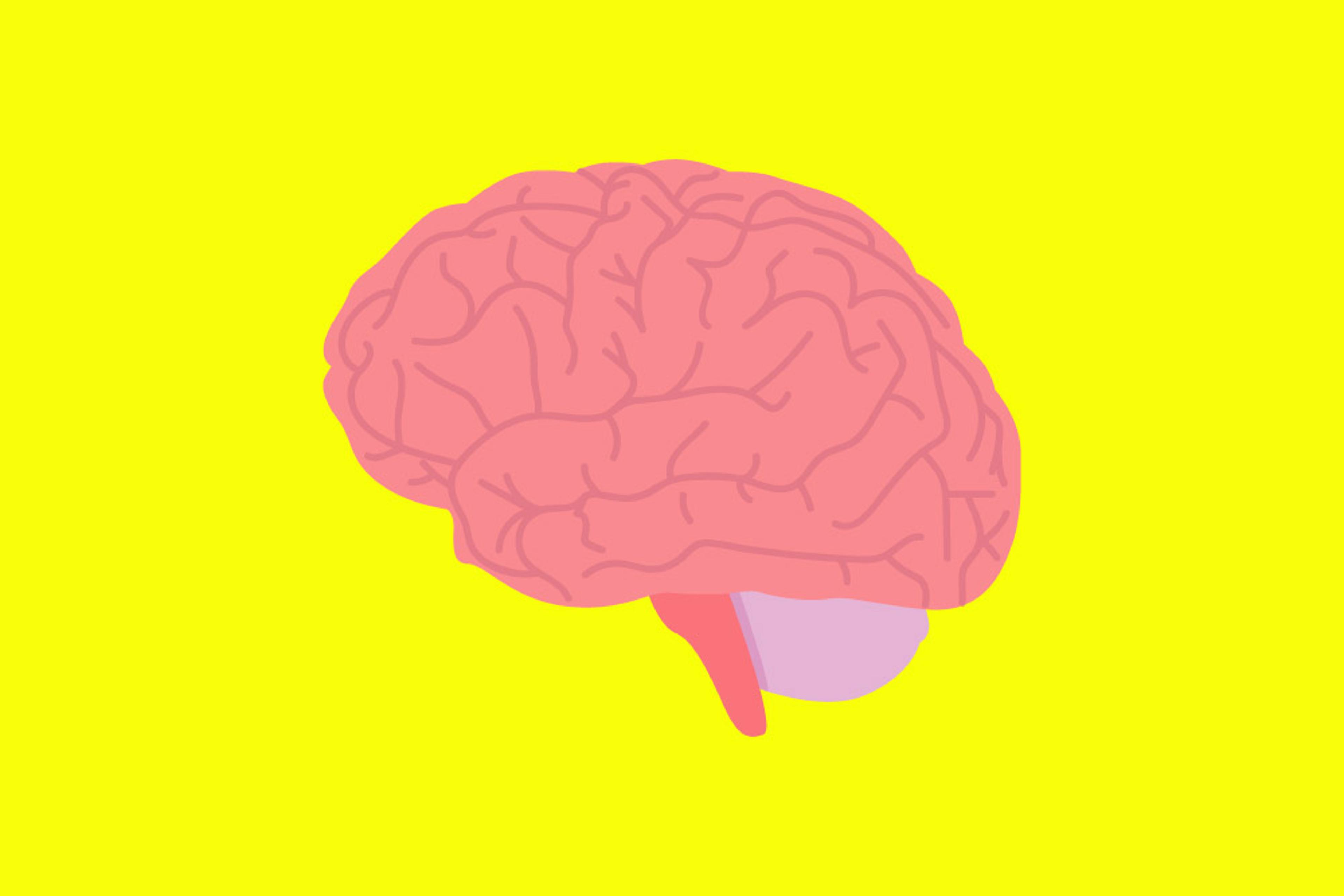 TIME.com stock health brain