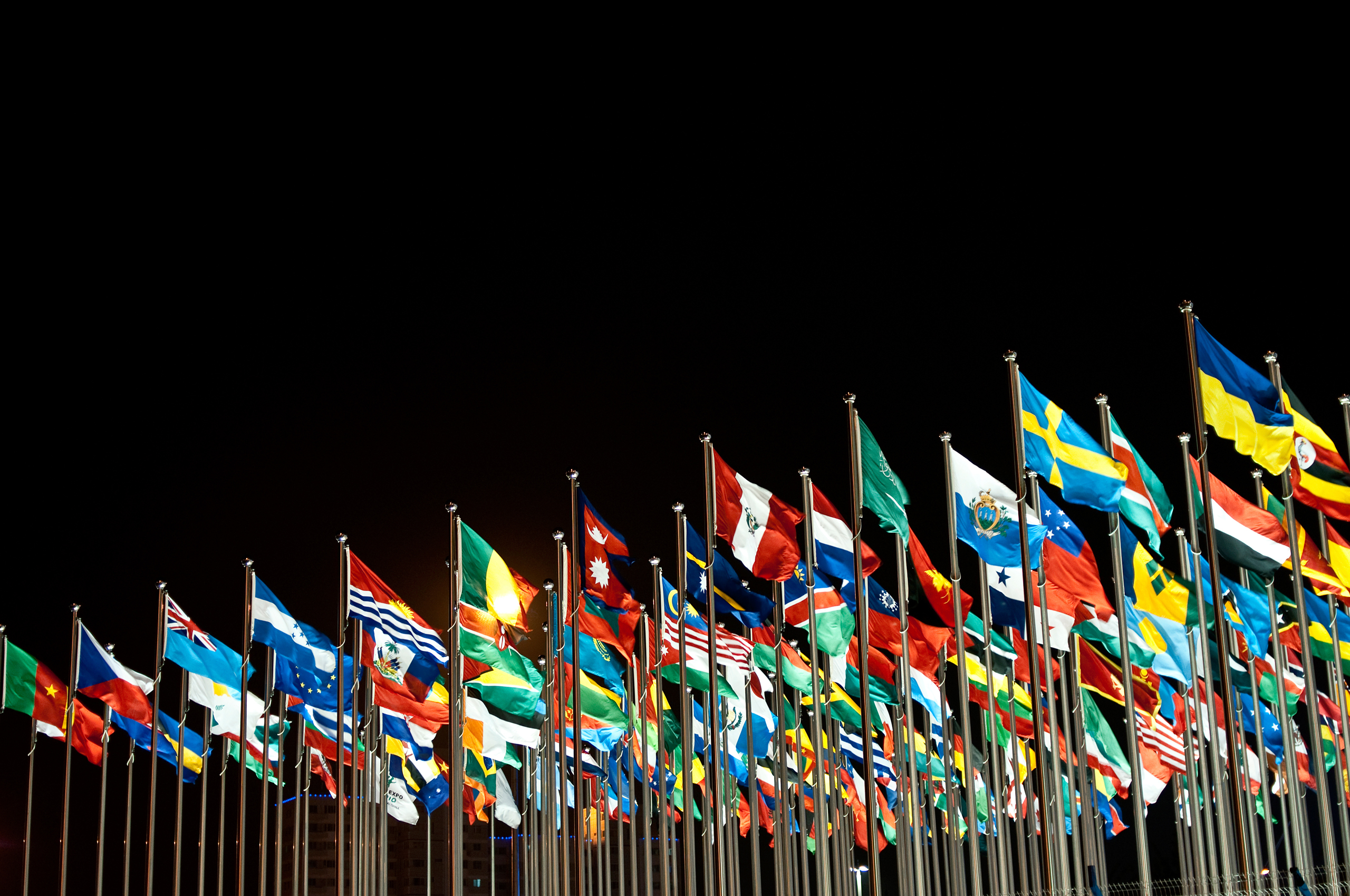 The World Expo 2010