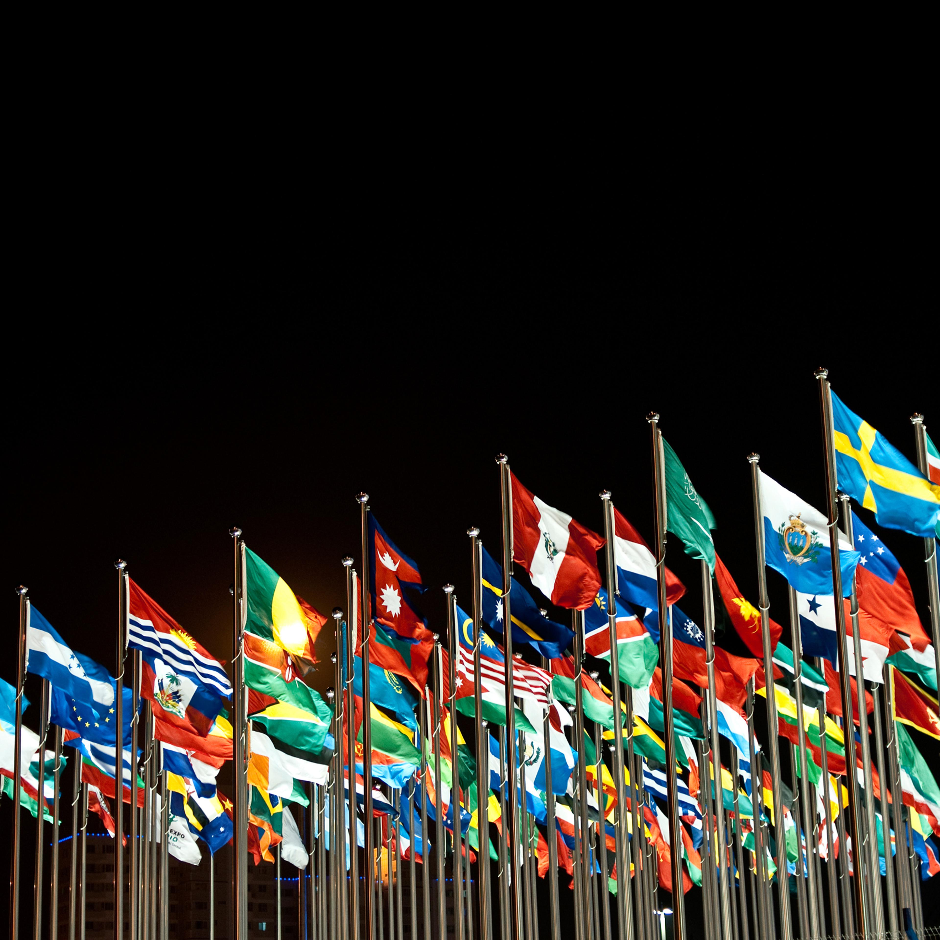 The World Expo 2010