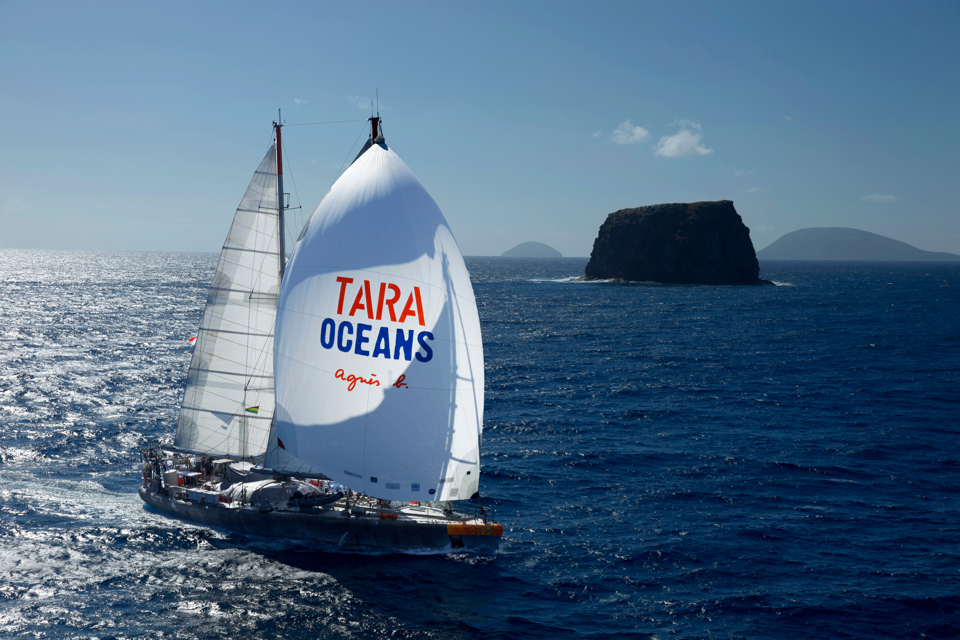 tara ocean expedition plankton