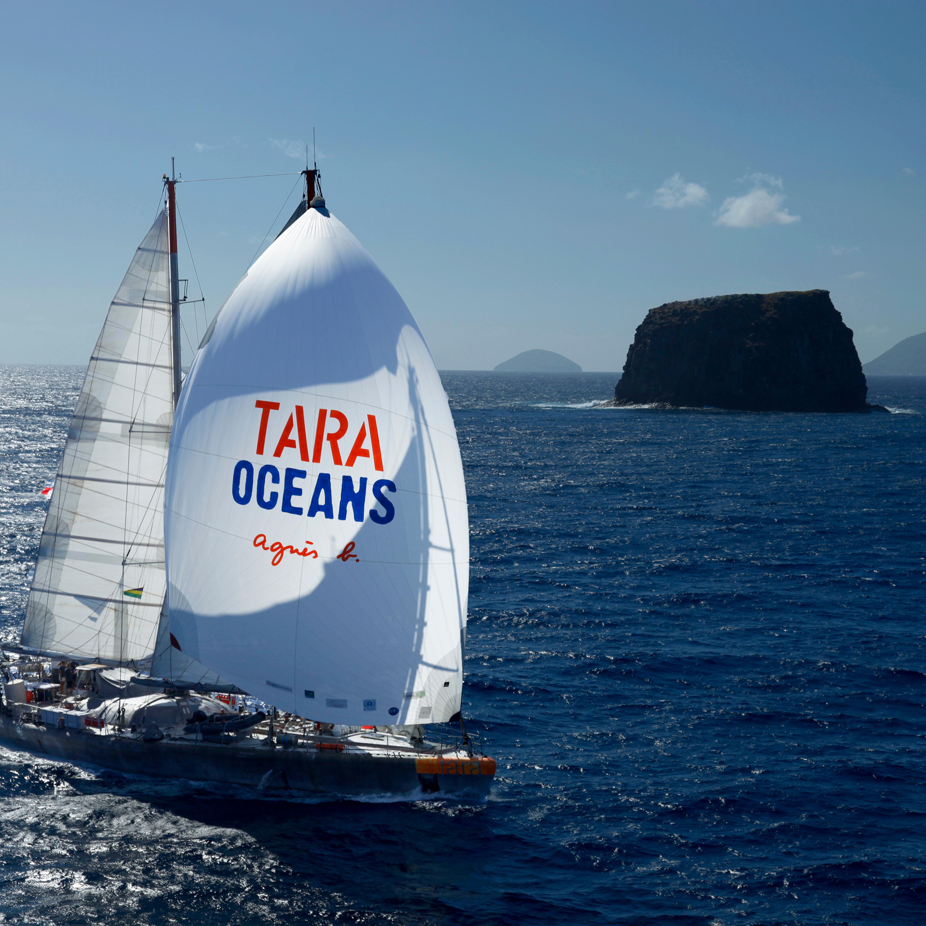 tara ocean expedition plankton