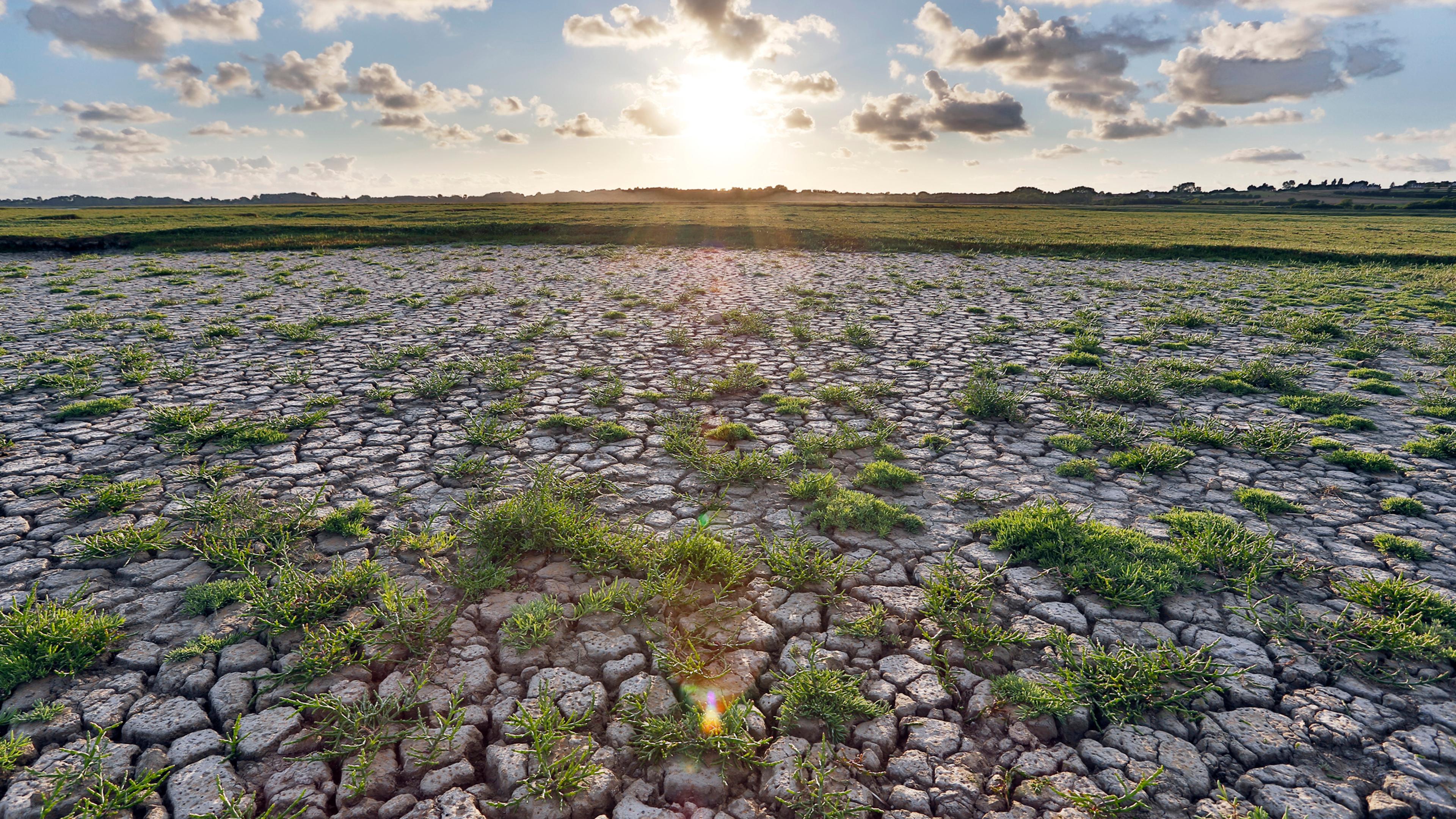 Food Chain Problems How Climate Change Is Impacting Food Supply Chain Trends