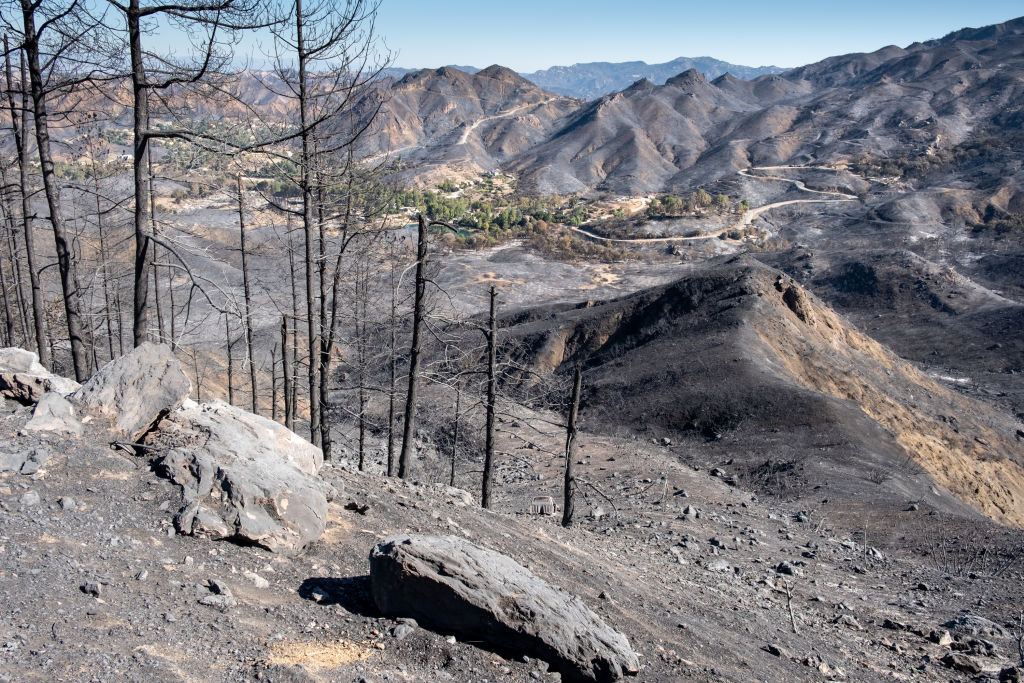 Woolsey Fire Destruction Fatality