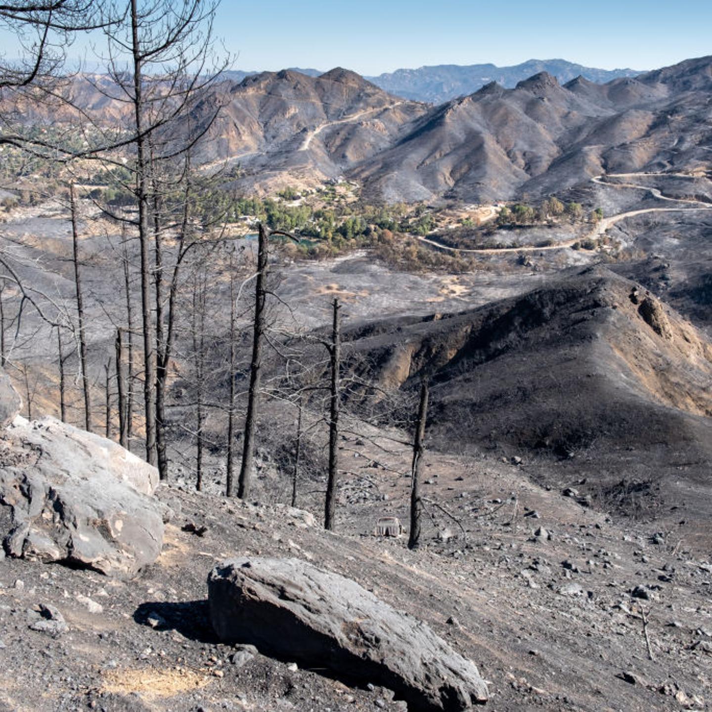 Woolsey Fire Destruction Fatality