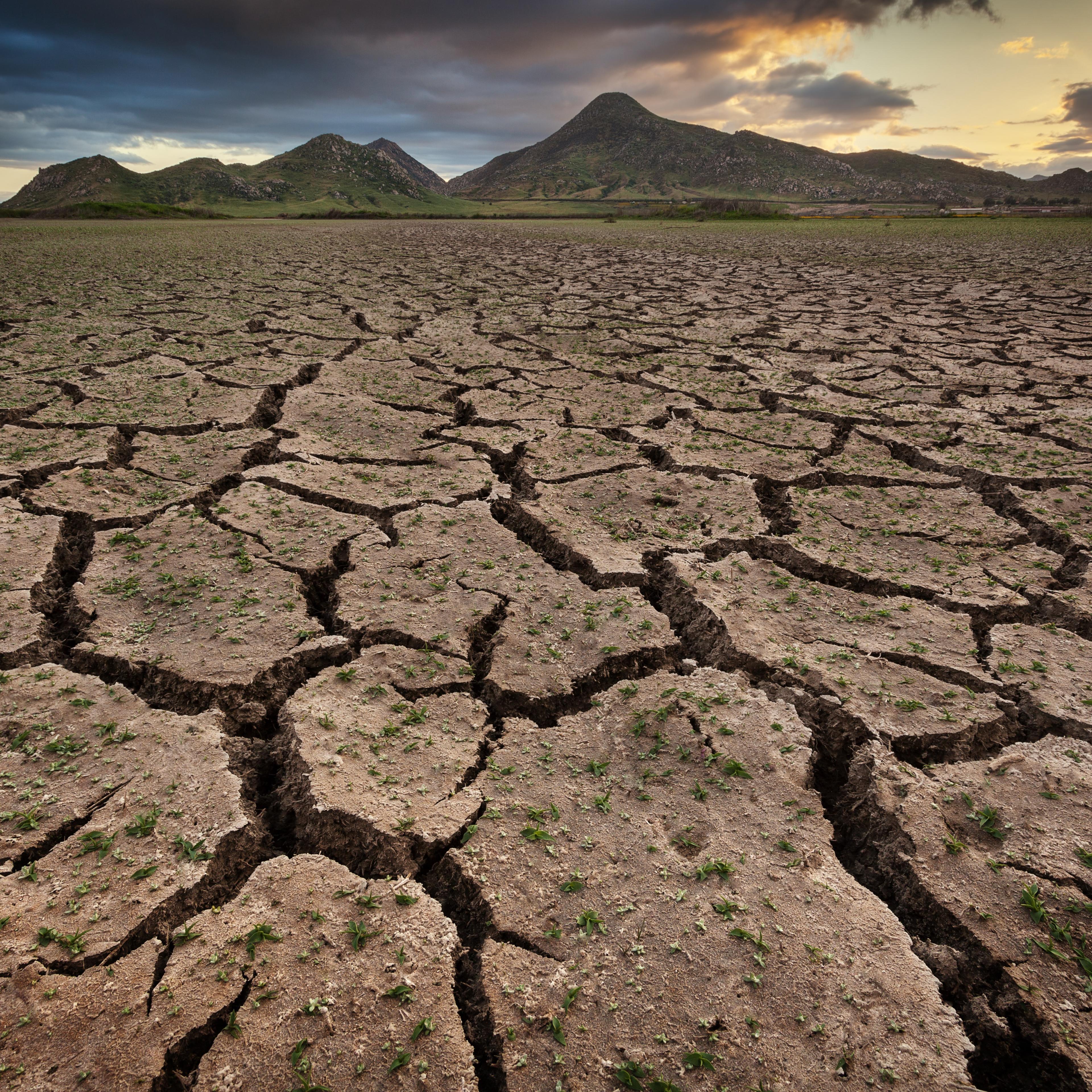 california drought
