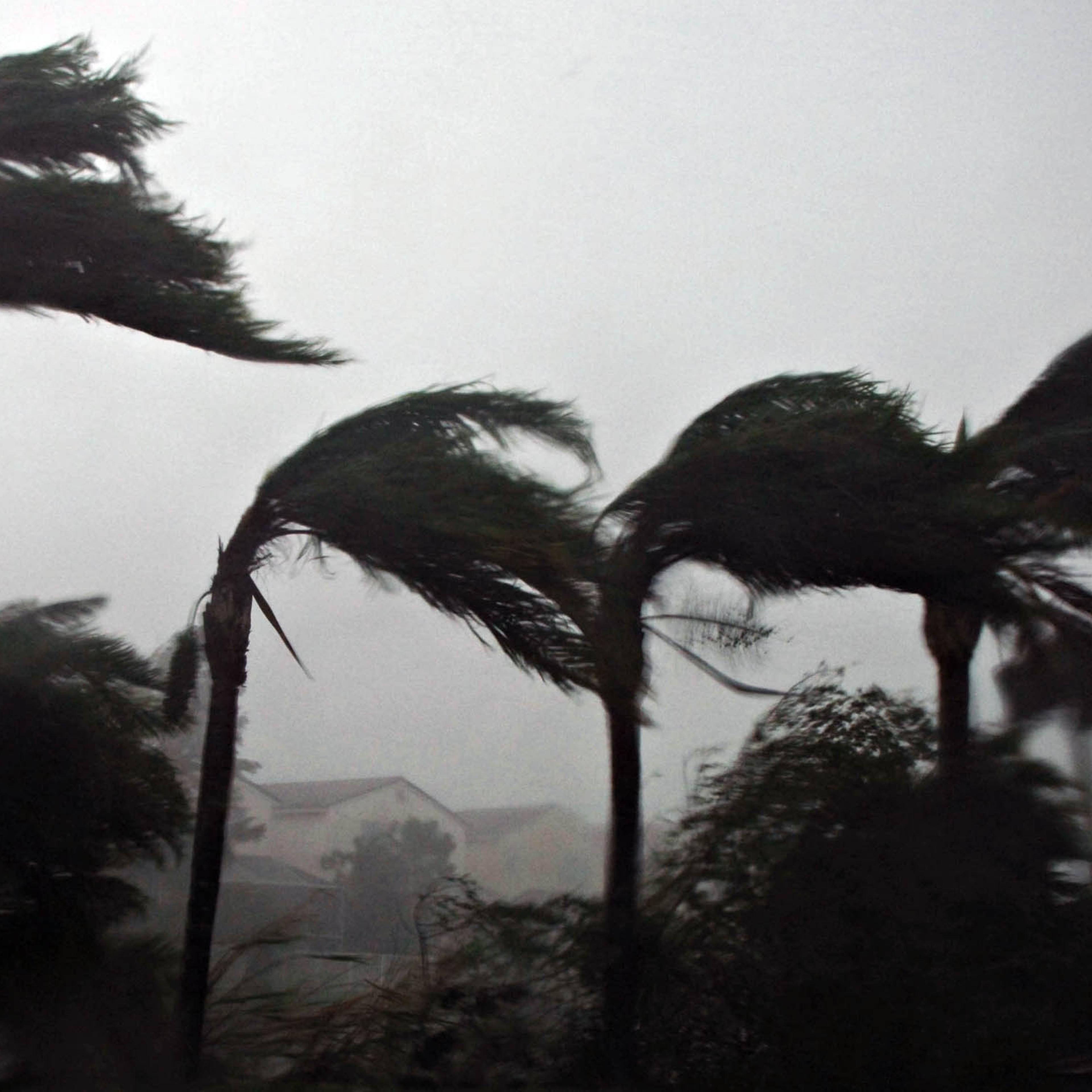 hurricane wilma climate change