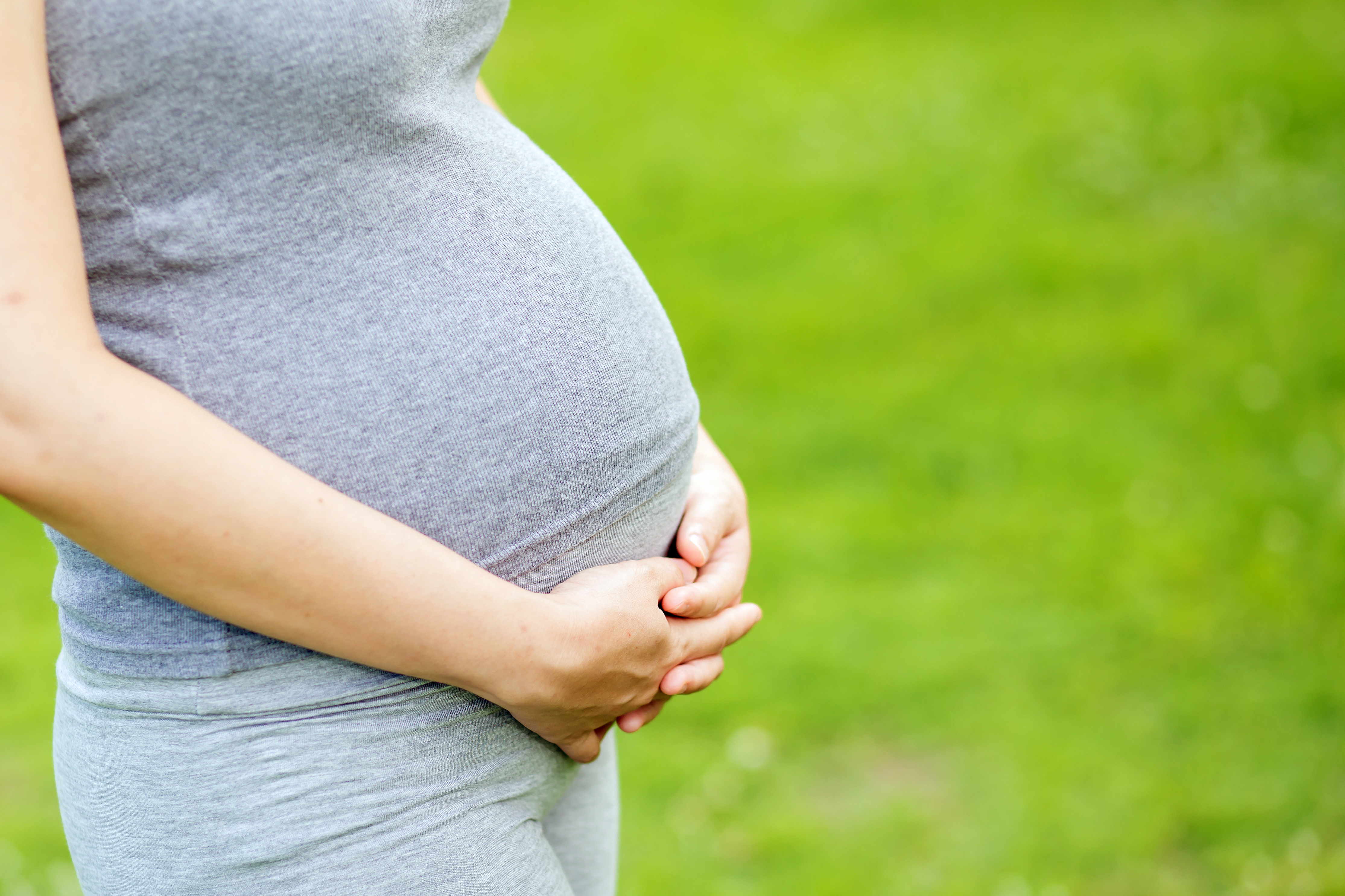 Pregnant woman belly