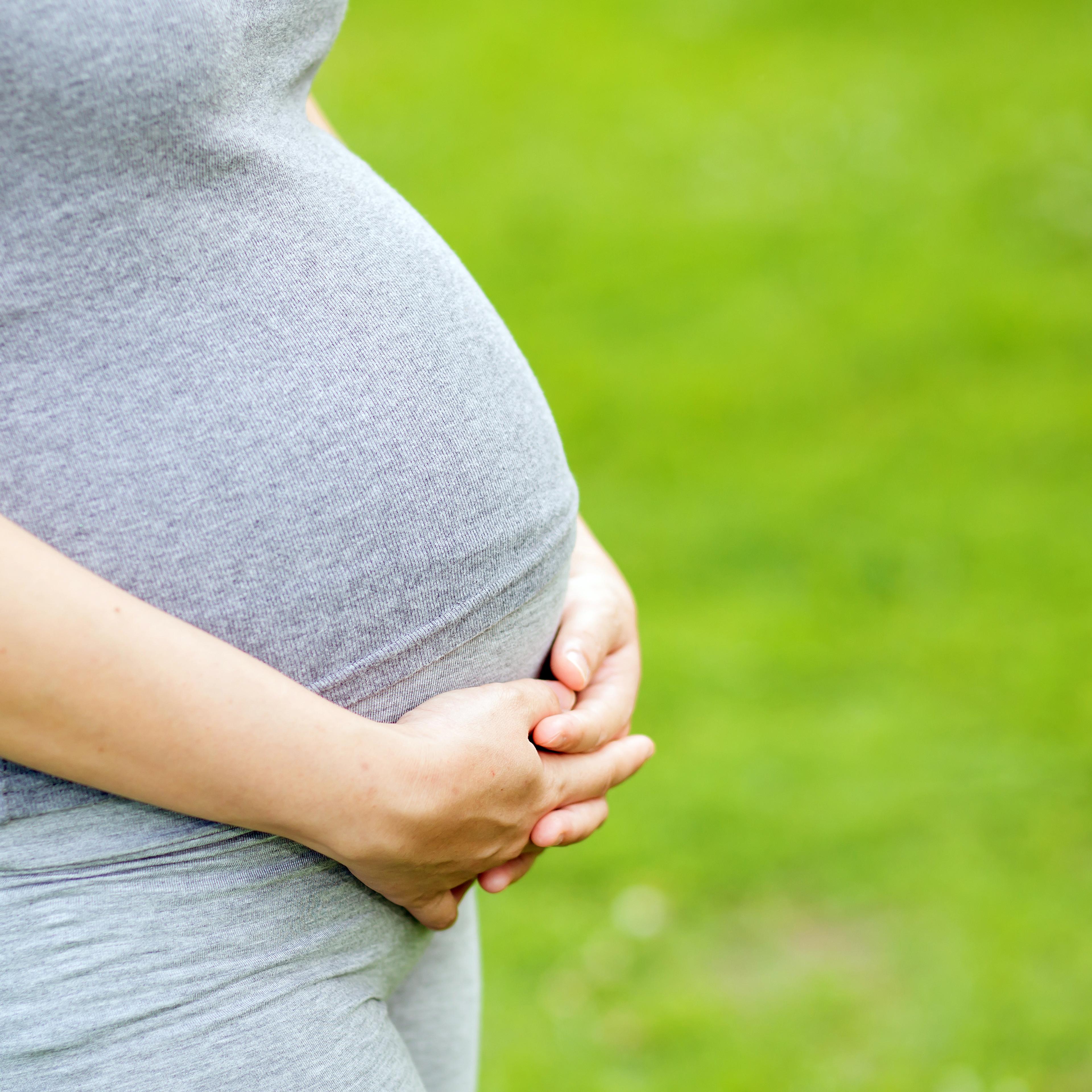 Pregnant woman belly