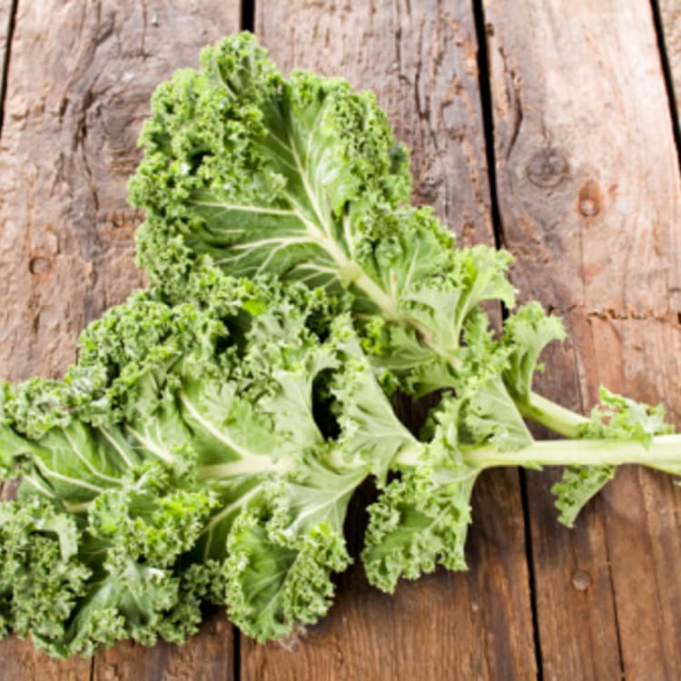 two-kale-leaves-table