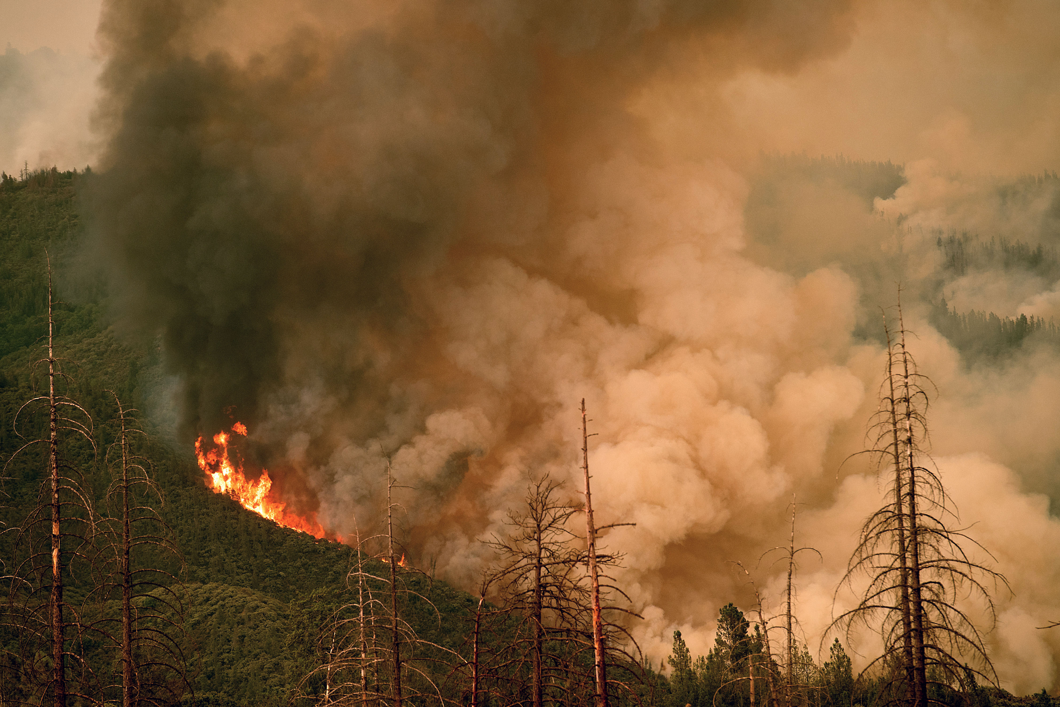 ferguson fire mcclintock climate change
