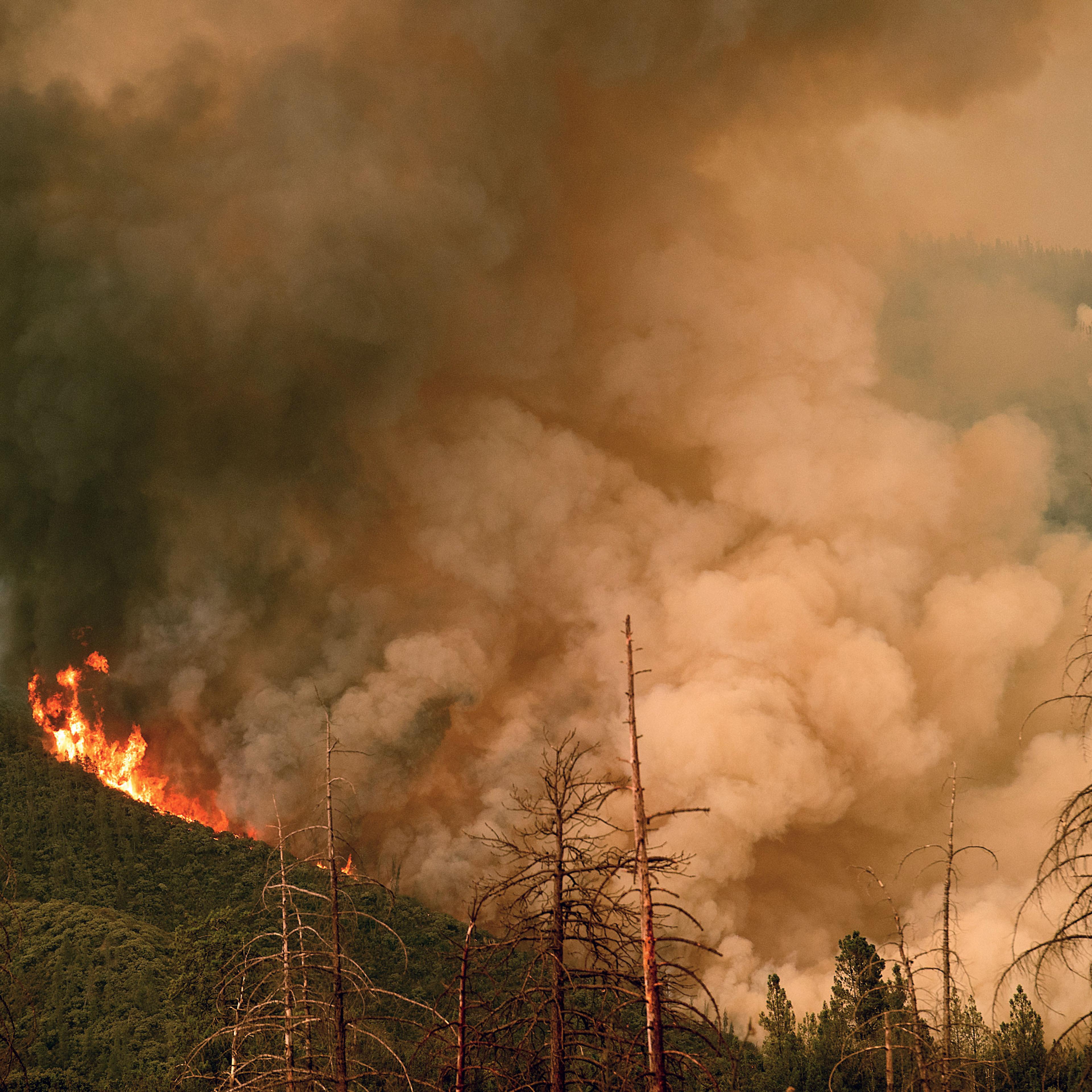 ferguson fire mcclintock climate change