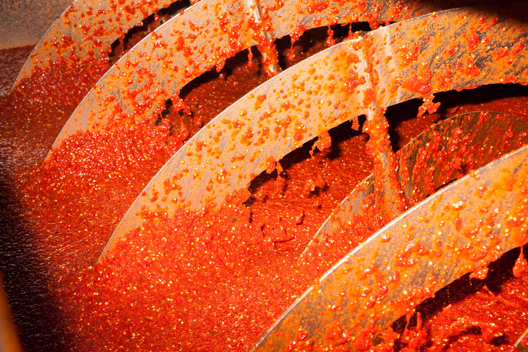 Chilies are ground in a mixing machine.