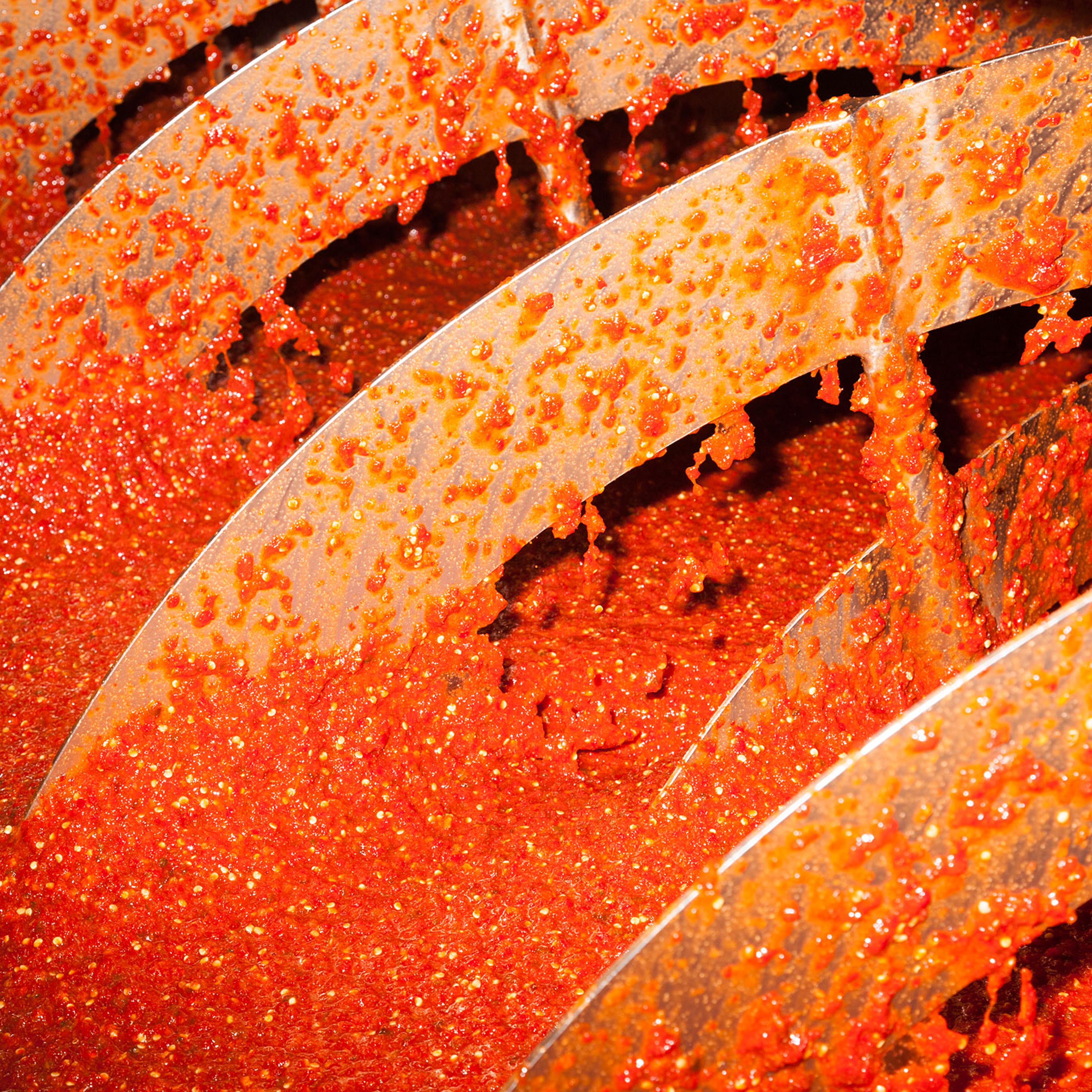 Chilies are ground in a mixing machine.